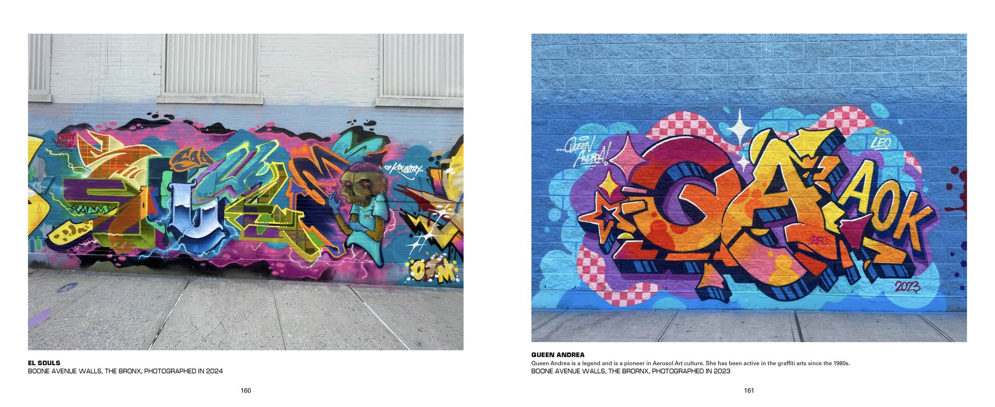 Aerosol Art Kings: Photographs of Street Art in New York City, 2018-2024