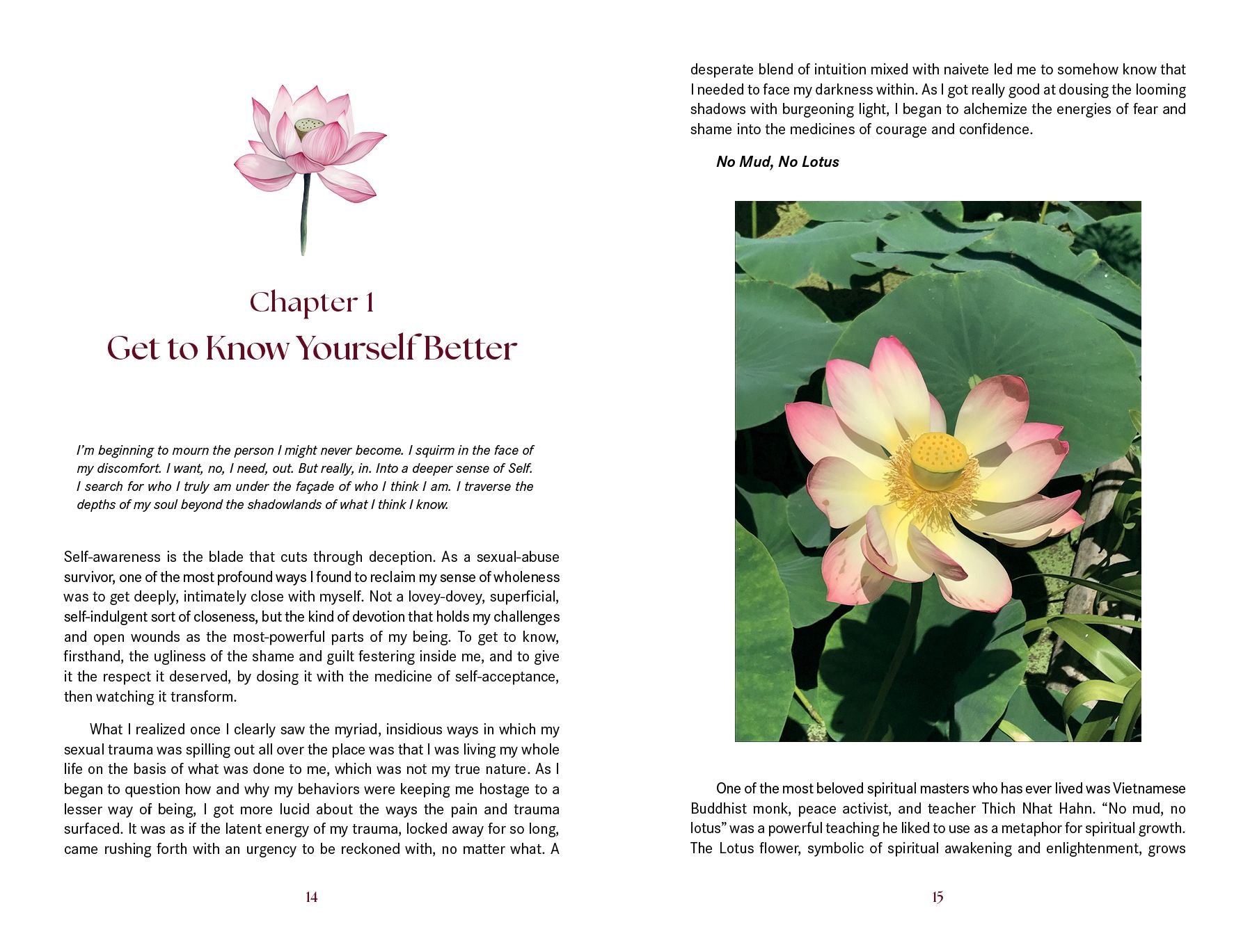 Transcending Sexual Trauma: Self-Awareness Tools and Nature-Based Practices to Cultivate Inner Healing
