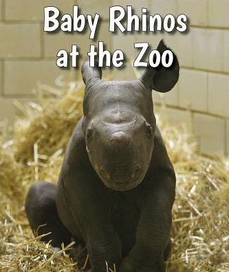 Baby Rhinos at the Zoo