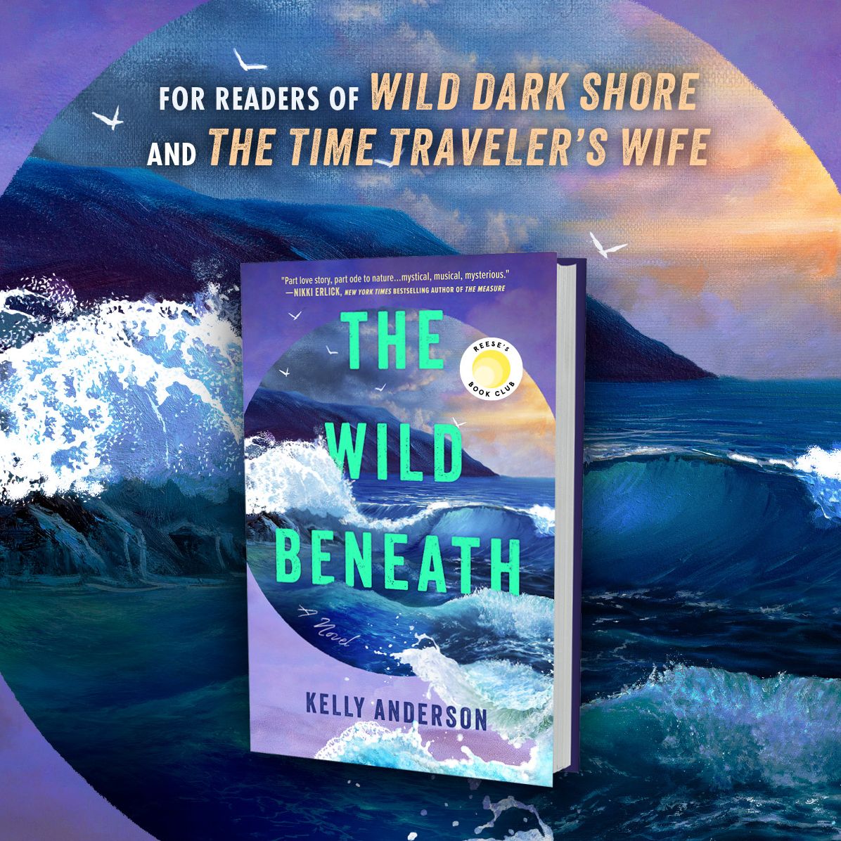 The Wild Beneath (Reese's Book Club Pick)