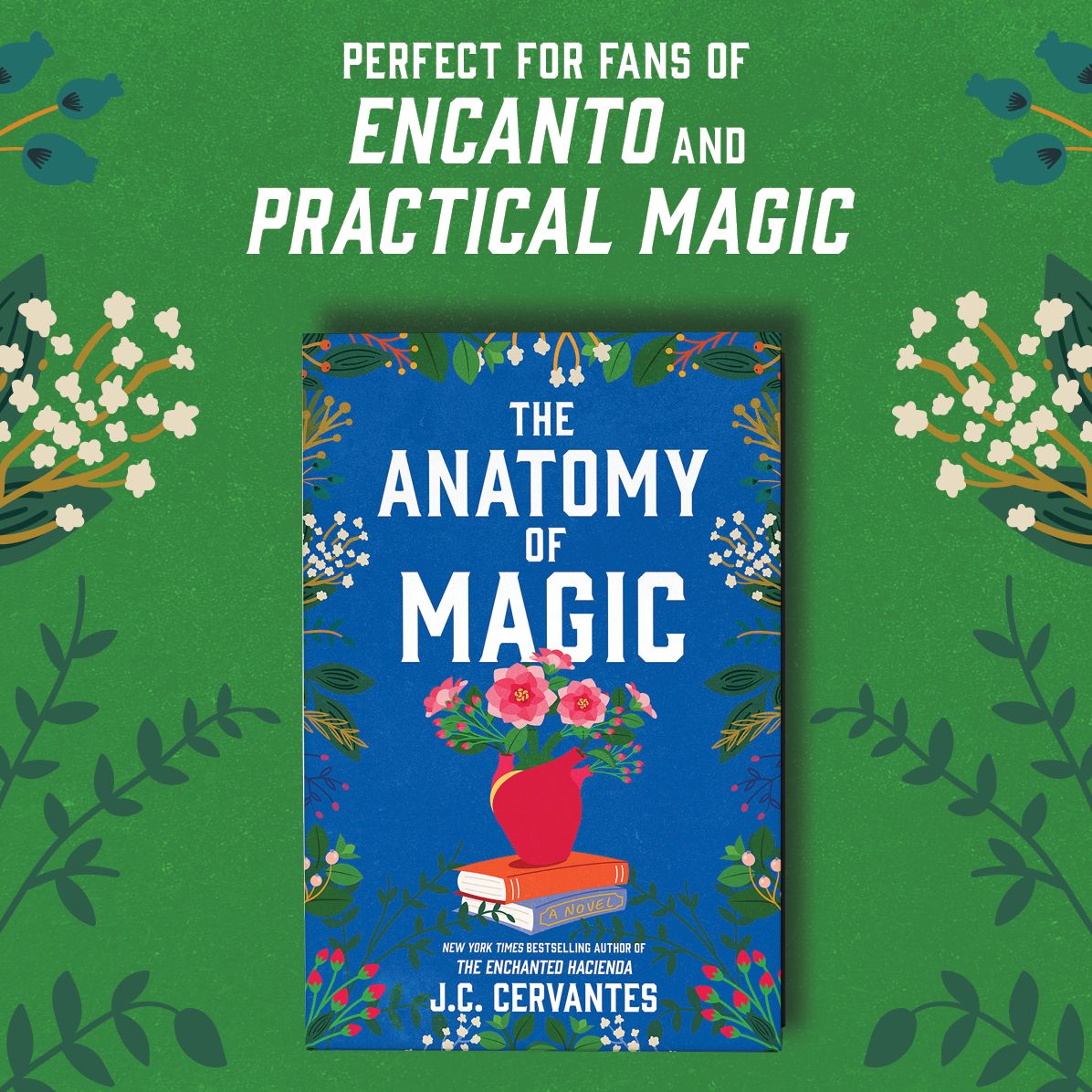The Anatomy of Magic: A Novel