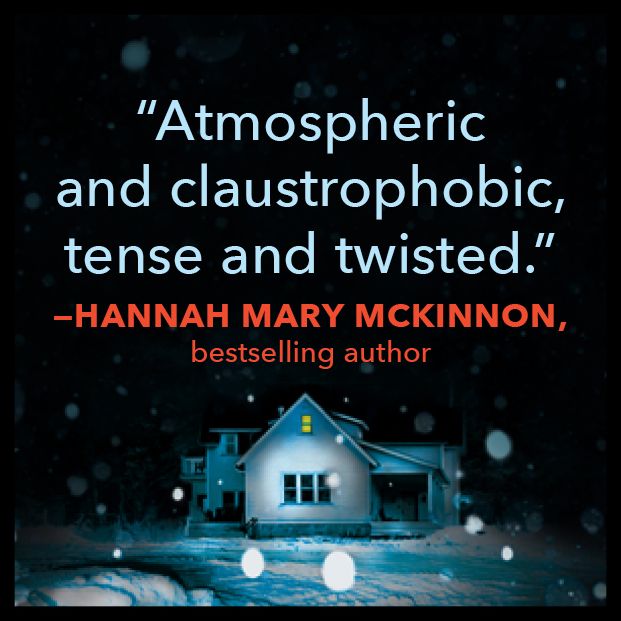 The Overnight Guest: A Novel