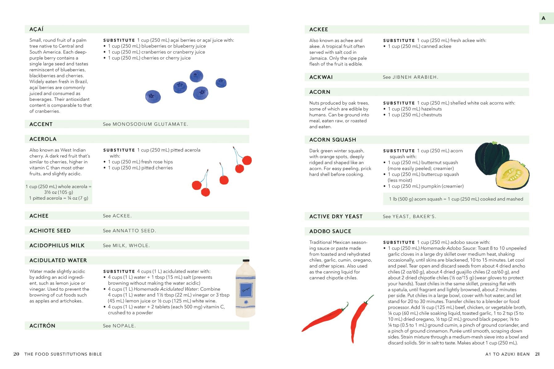 The Food Substitutions Bible: 8,000 Substitutions for Ingredients, Equipment and Techniques