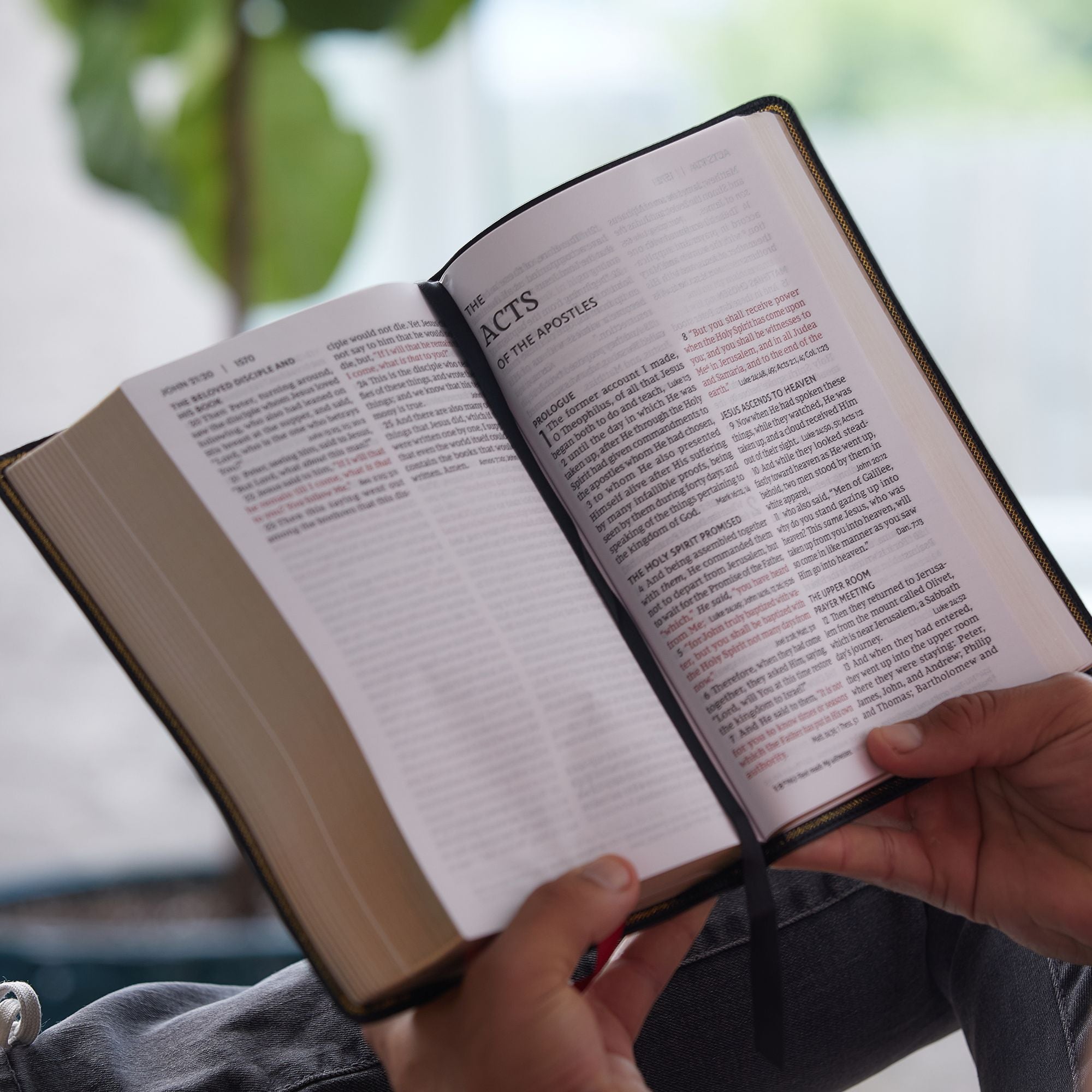 NKJV, End-of-Verse Reference Bible, Personal Size Large Print, Leathersoft, Brown, Red Letter, Comfort Print: Holy Bible, New King James Version - Great for Father's Day