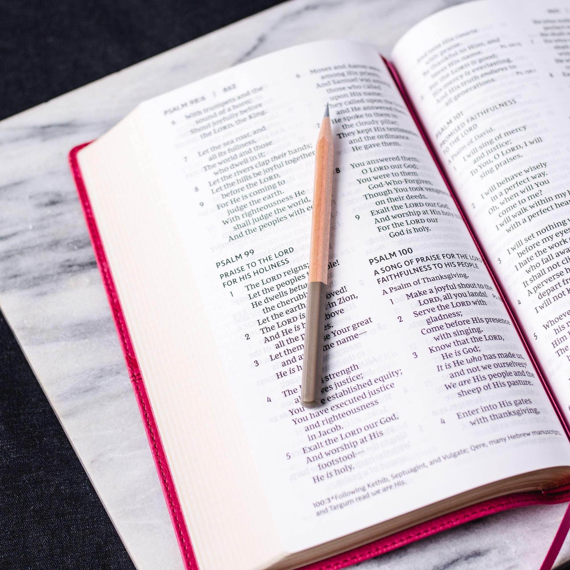 NKJV, End-of-Verse Reference Bible, Personal Size Large Print, Leathersoft, Brown, Red Letter, Comfort Print: Holy Bible, New King James Version - Great for Father's Day