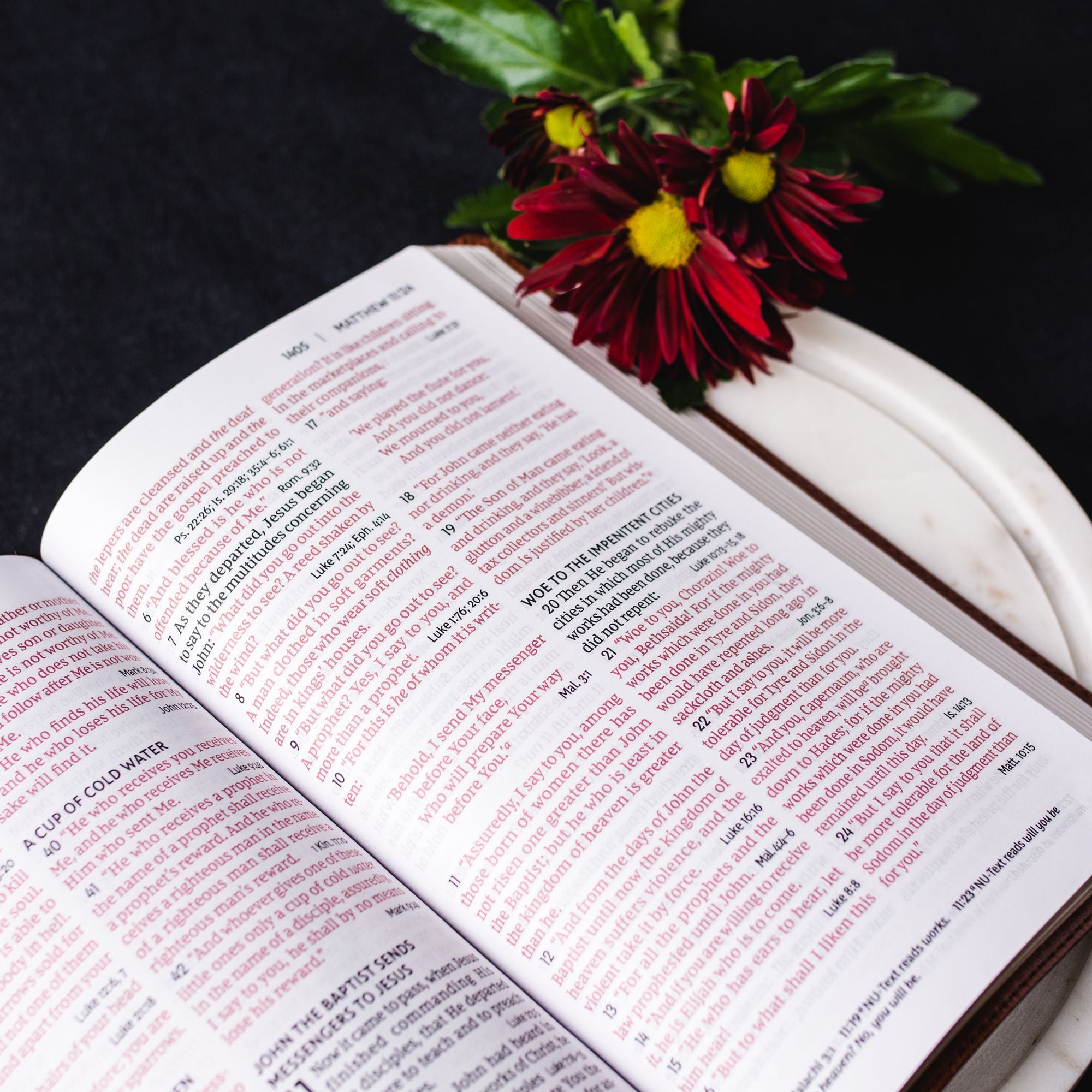 NKJV, End-of-Verse Reference Bible, Personal Size Large Print, Leathersoft, Brown, Red Letter, Comfort Print: Holy Bible, New King James Version - Great for Father's Day