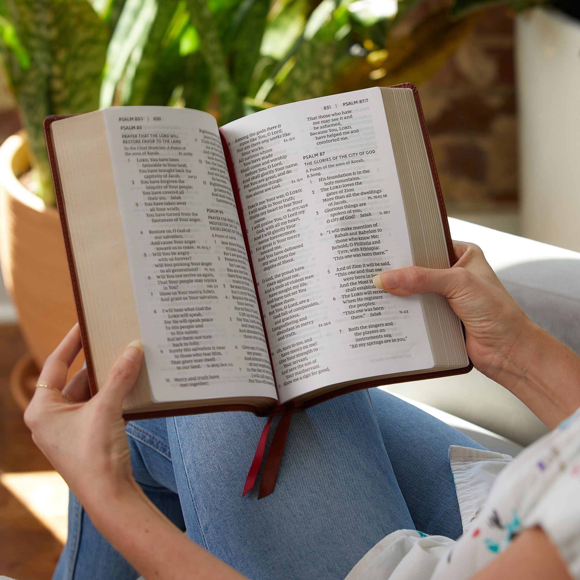 NKJV, End-of-Verse Reference Bible, Personal Size Large Print, Leathersoft, Brown, Red Letter, Comfort Print: Holy Bible, New King James Version - Great for Father's Day