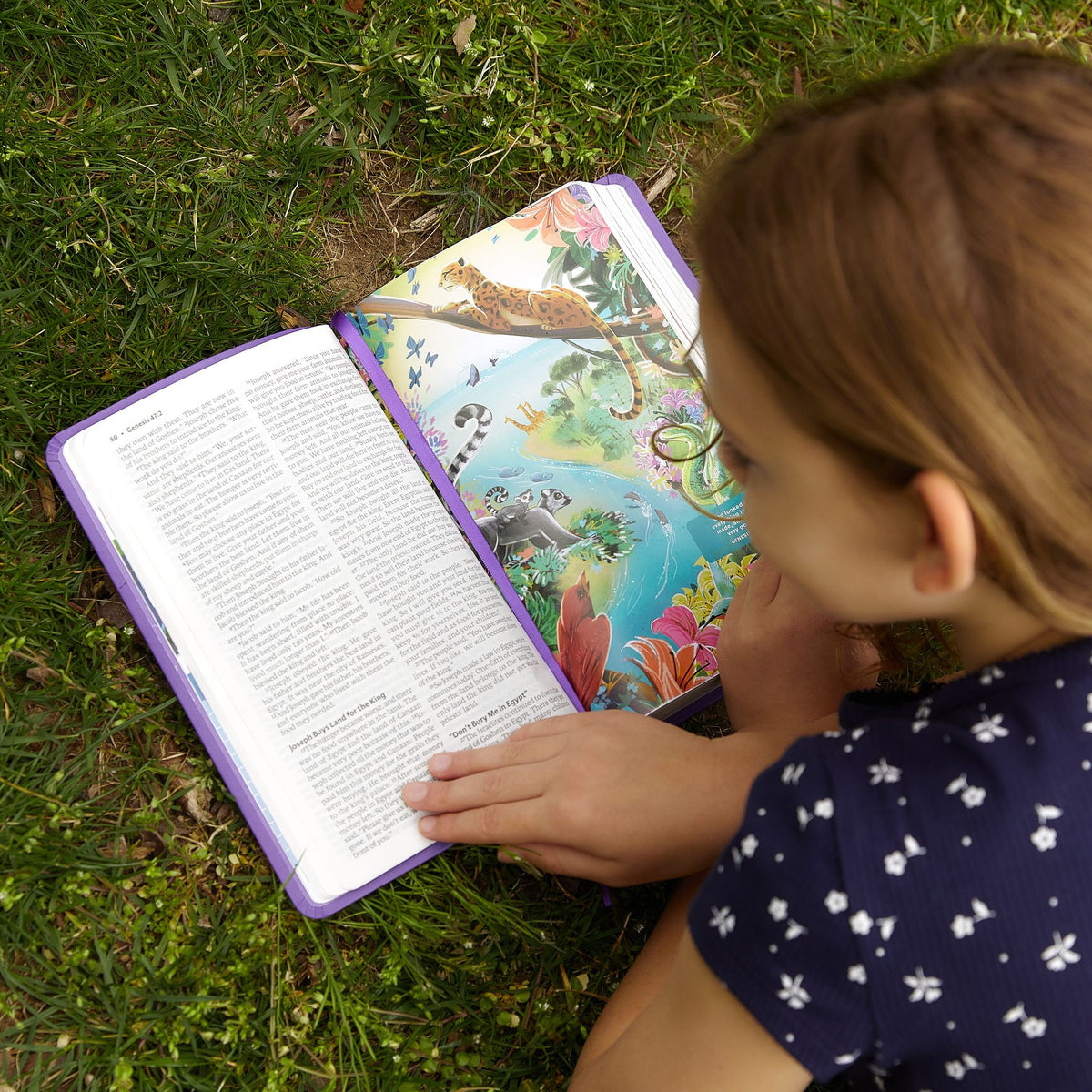 ICB, Holy Bible, Hardcover: International Children's Bible - For Kids Ages 6 to 12