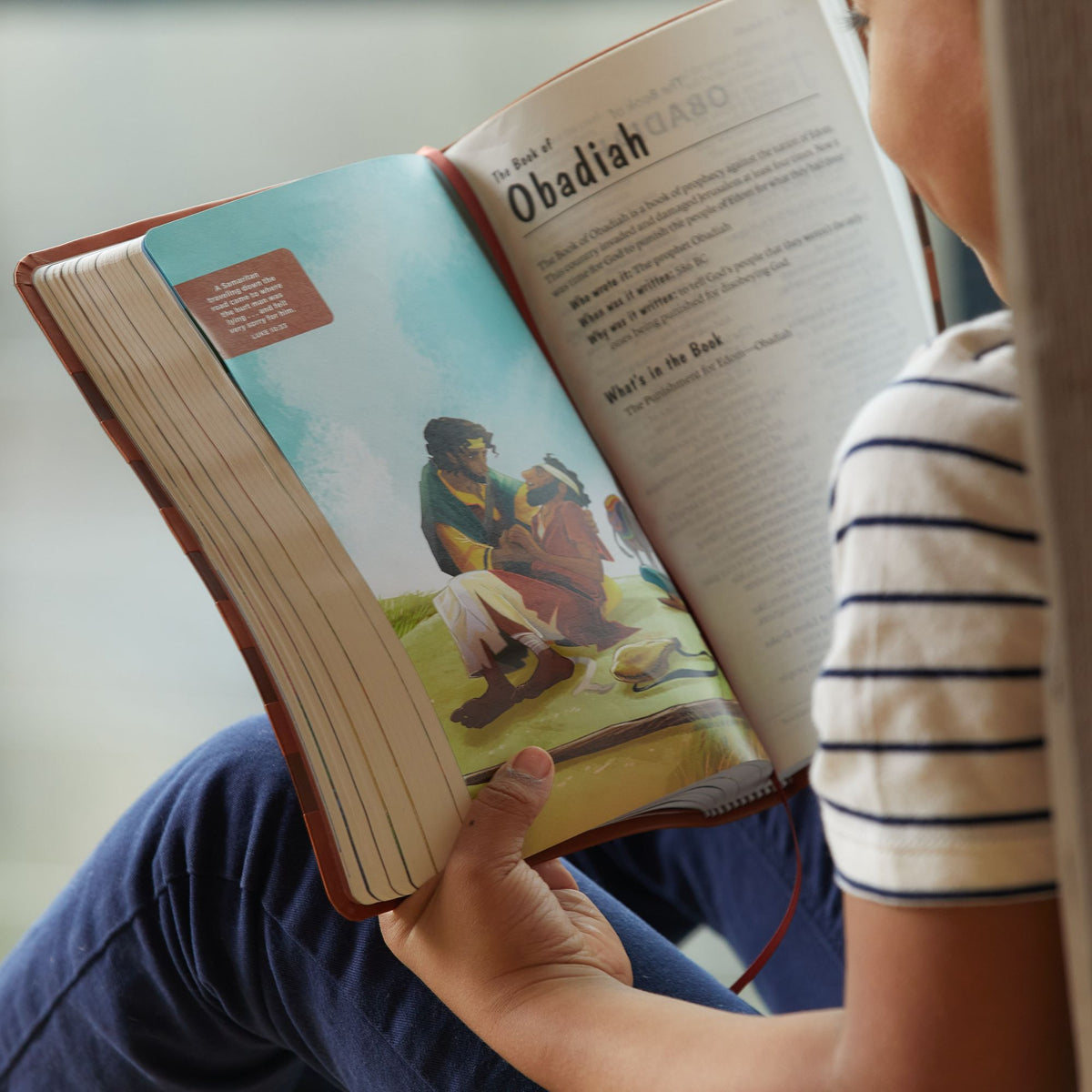 ICB, Holy Bible, Hardcover: International Children's Bible - For Kids Ages 6 to 12