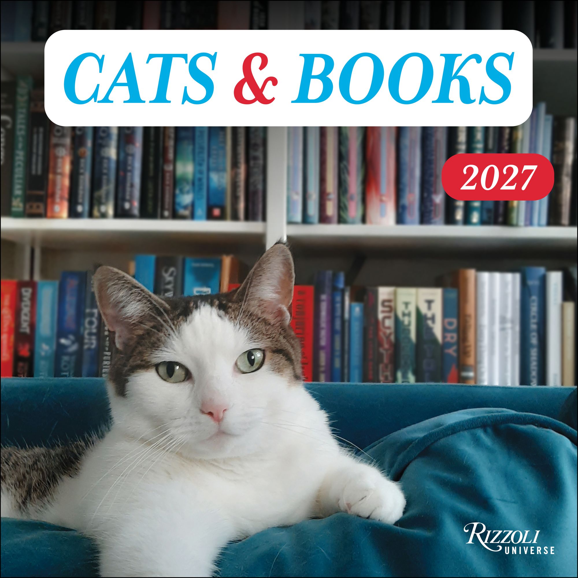 2027 Cats and Books Wall Calendar