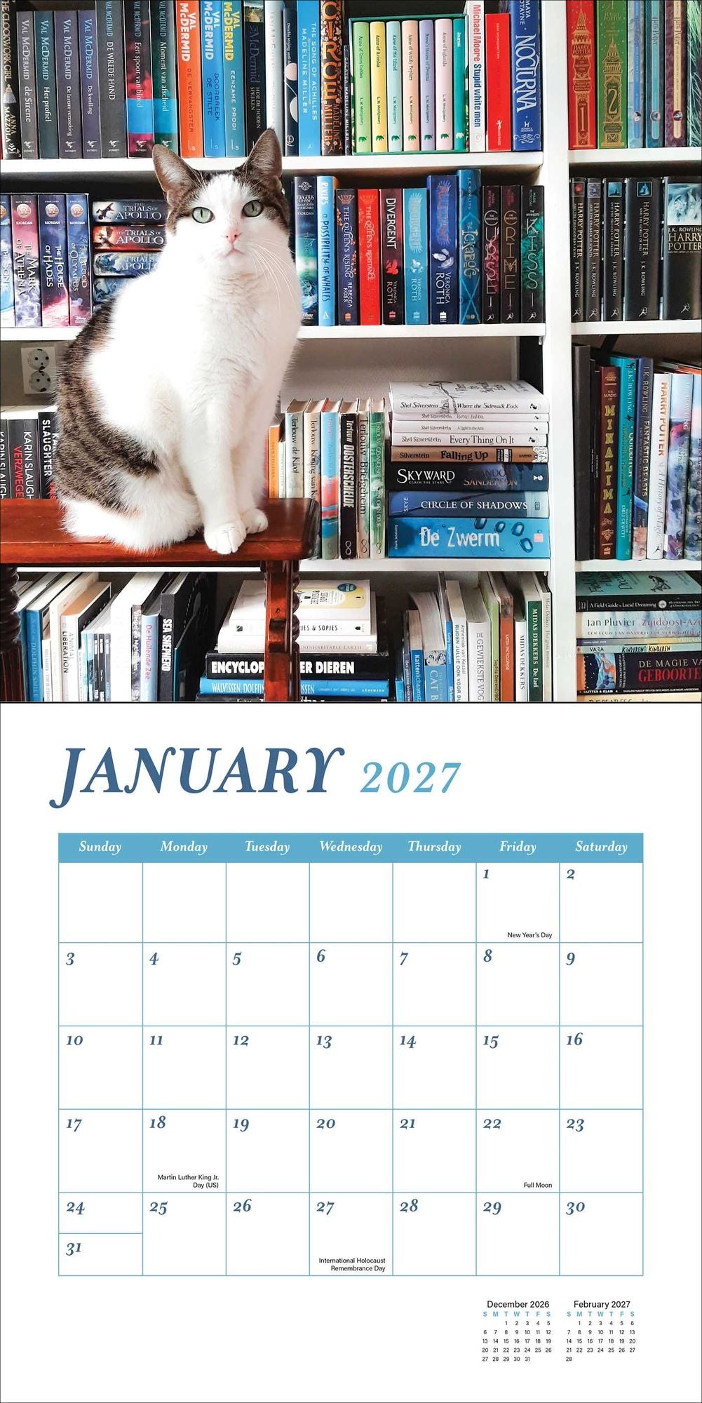 2027 Cats and Books Wall Calendar