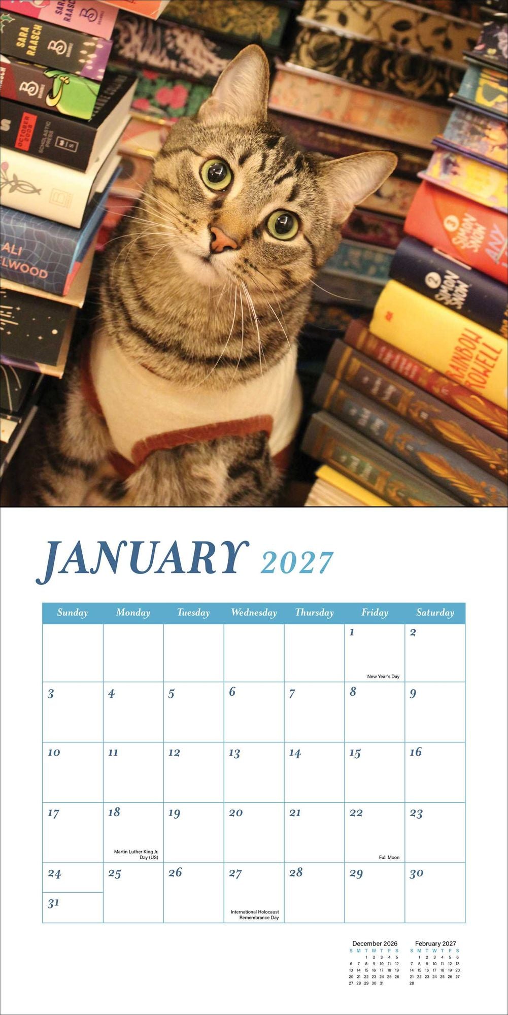 2027 Cats and Books Wall Calendar
