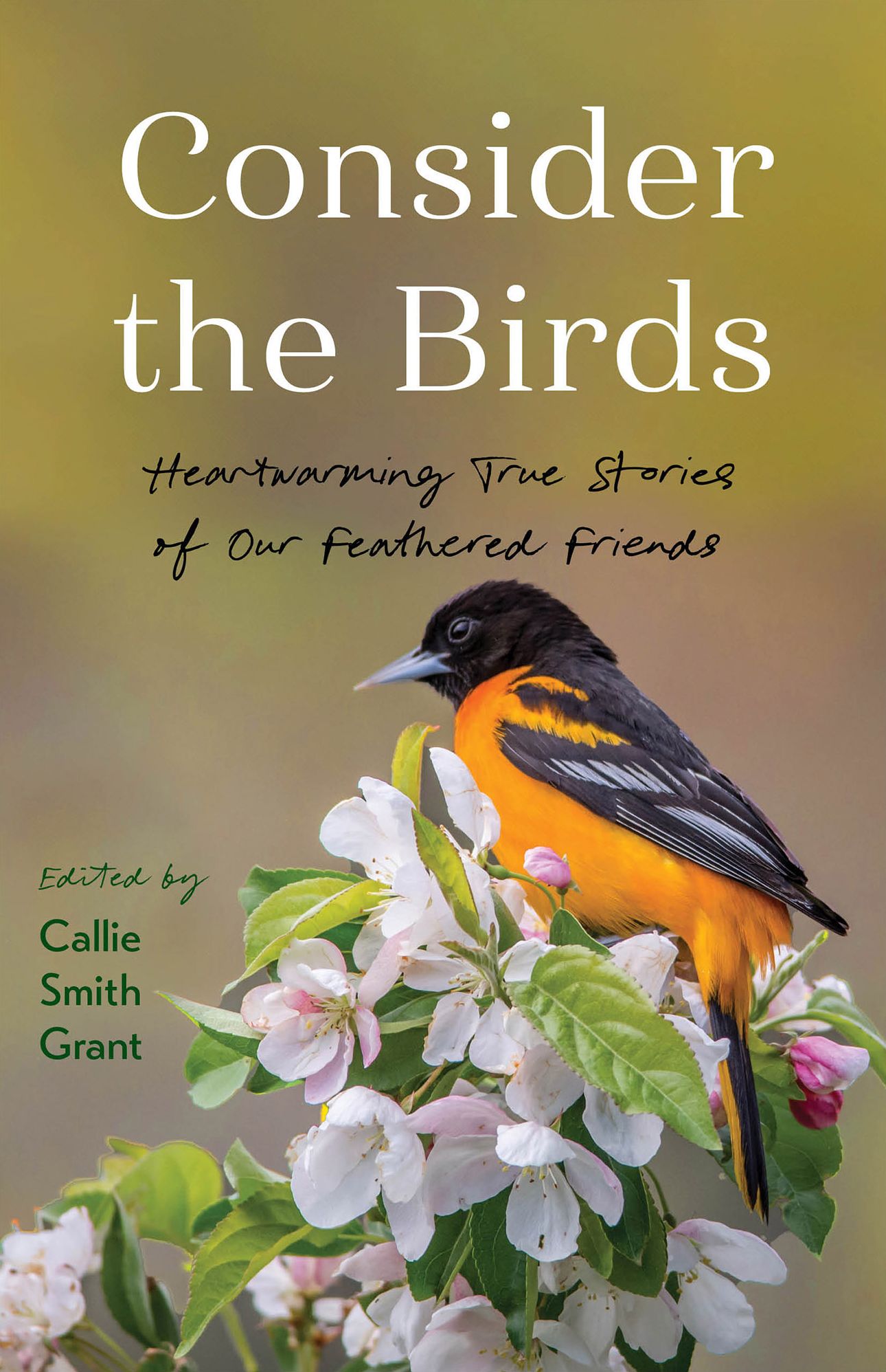 Consider the Birds: Heartwarming True Stories of Our Feathered Friends