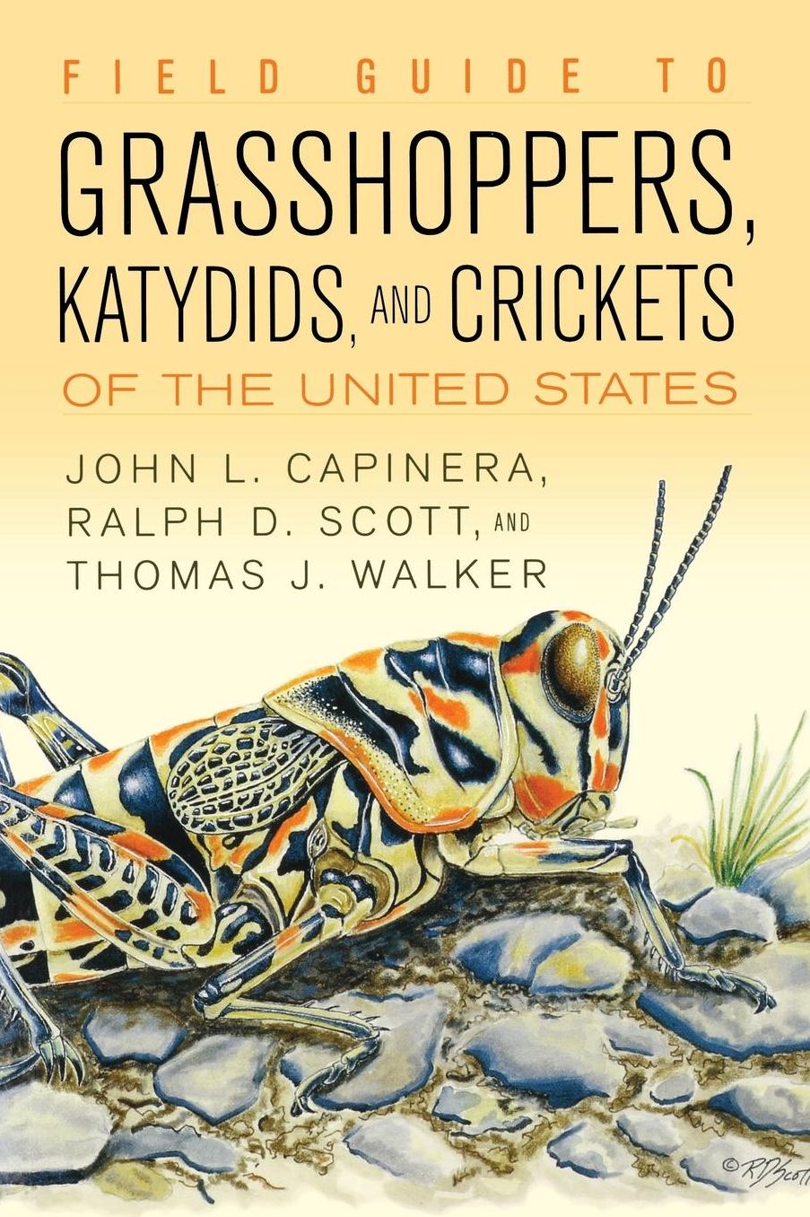 Field Guide to Grasshoppers, Katydids, and Crickets of the United States