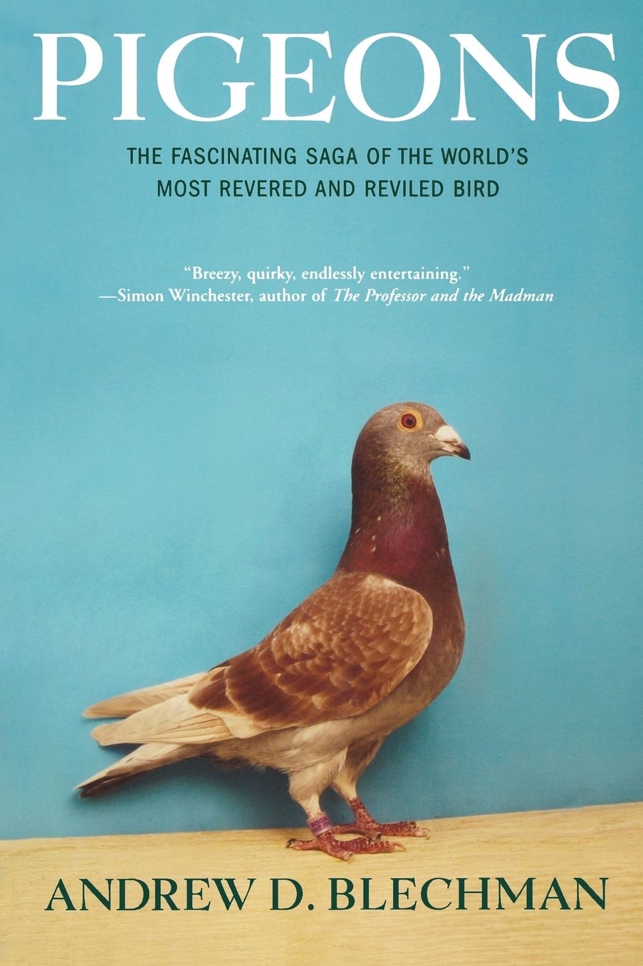 Pigeons: The Fascinating Saga of the World's Most Revered and Reviled Bird