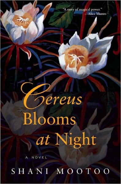 Cereus Blooms at Night