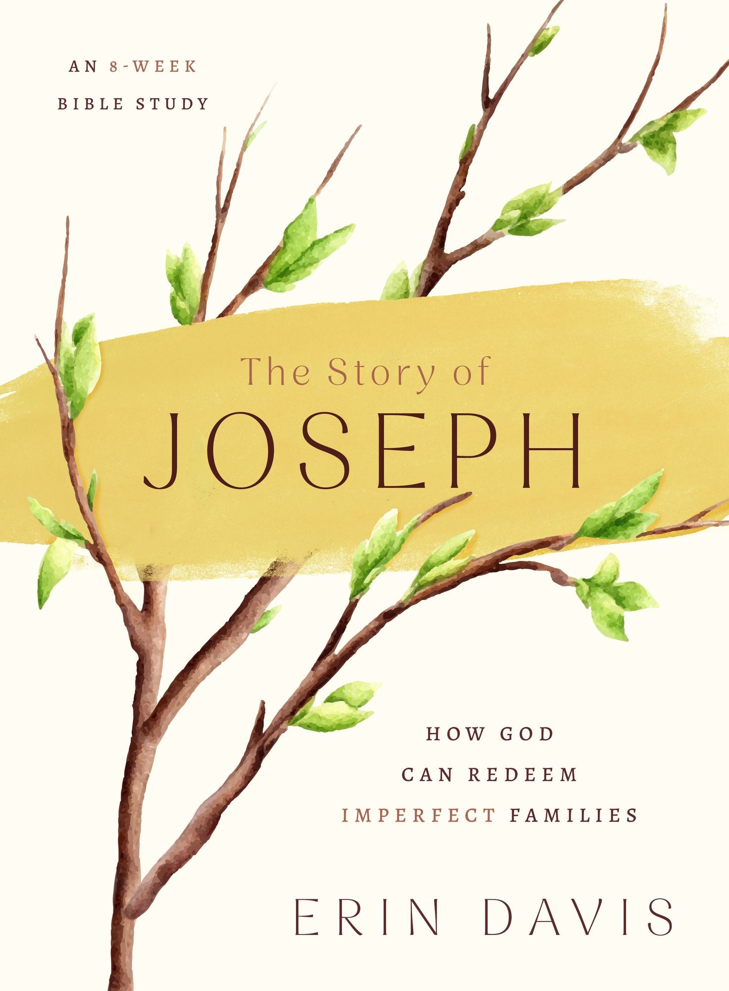 The Story of Joseph: How God Can Redeem Imperfect Families - An 8-Week Bible Study