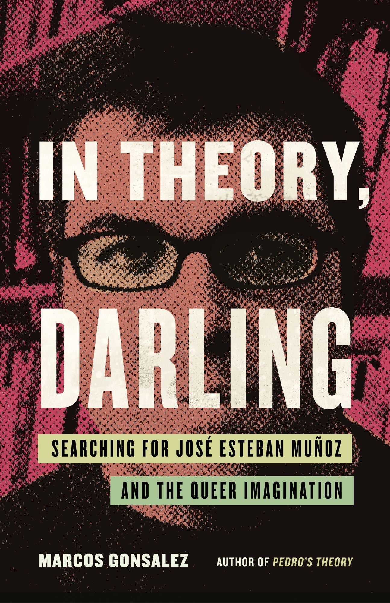 In Theory, Darling: Searching for José Esteban Muñoz and the Queer Imagination