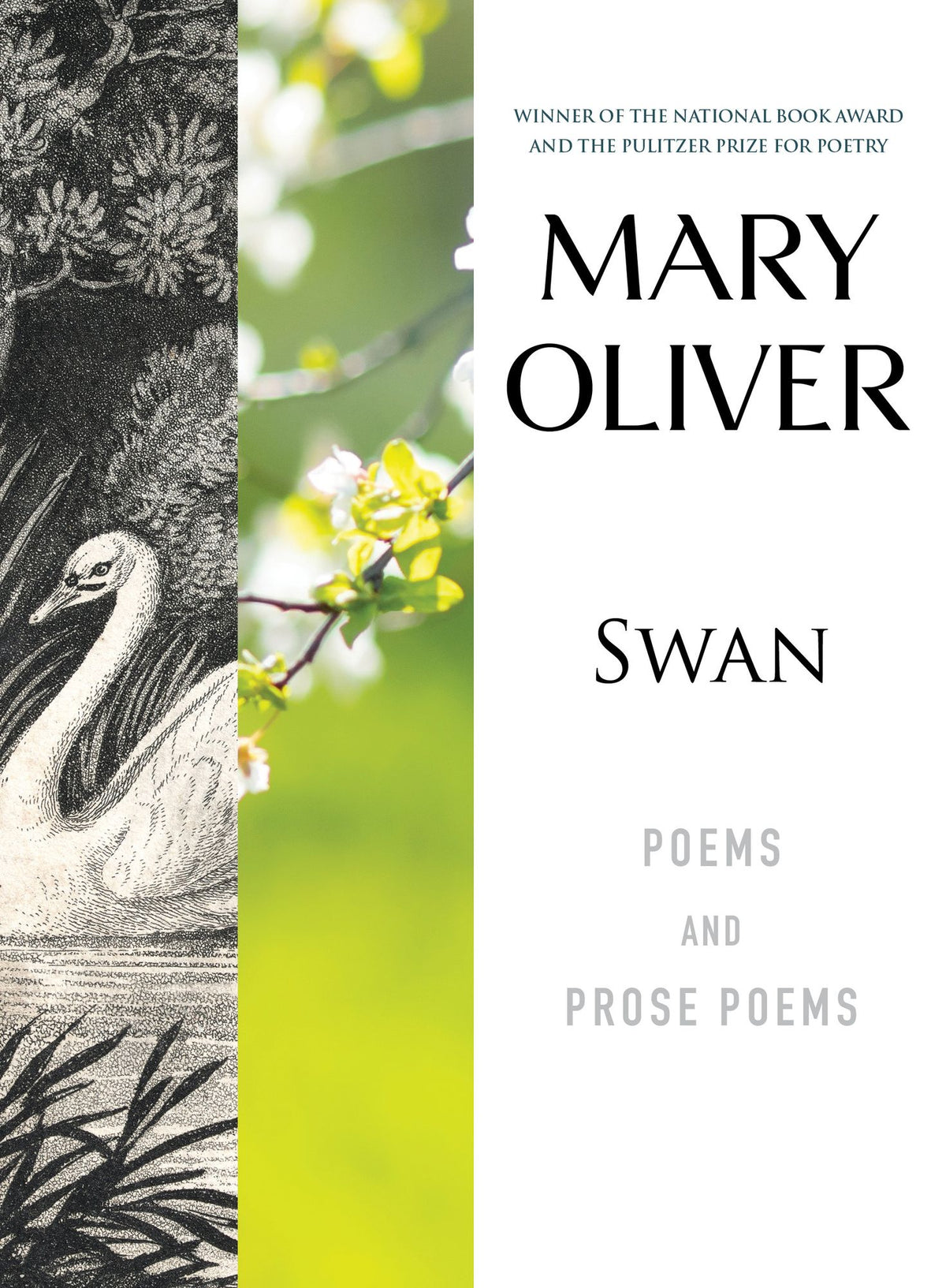 Swan: Poems and Prose Poems