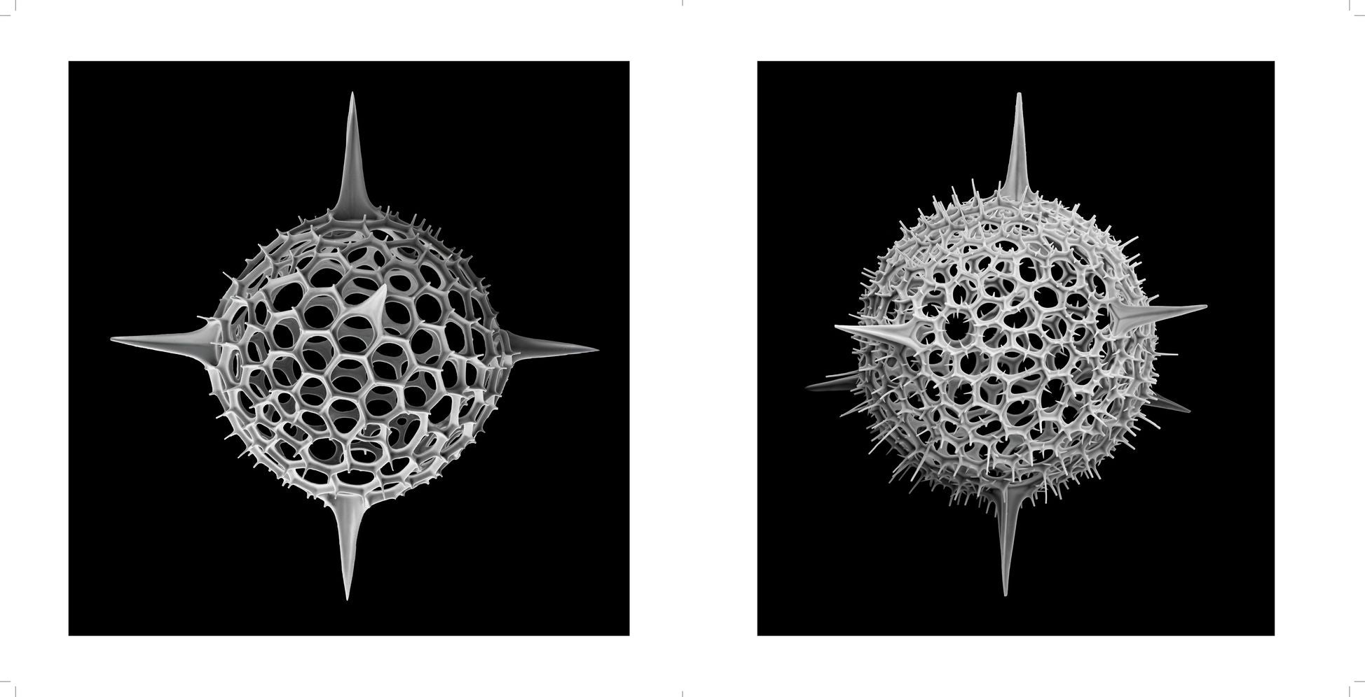 Nanocosmos: Journeys in Electron Space