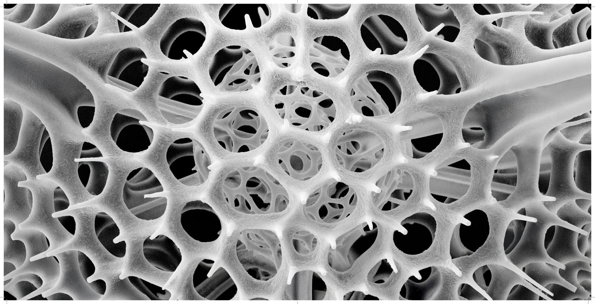 Nanocosmos: Journeys in Electron Space