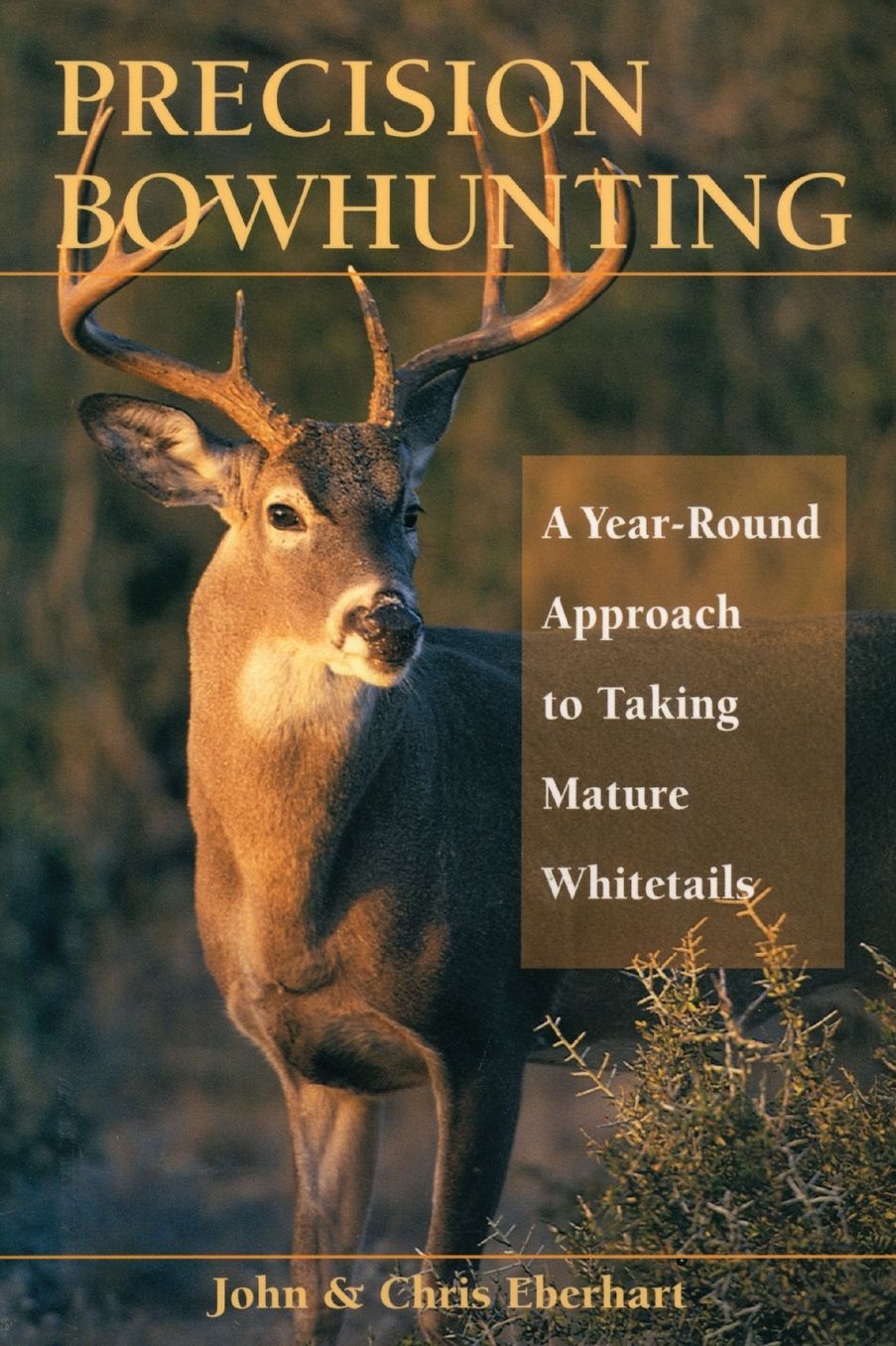 Precision Bowhunting