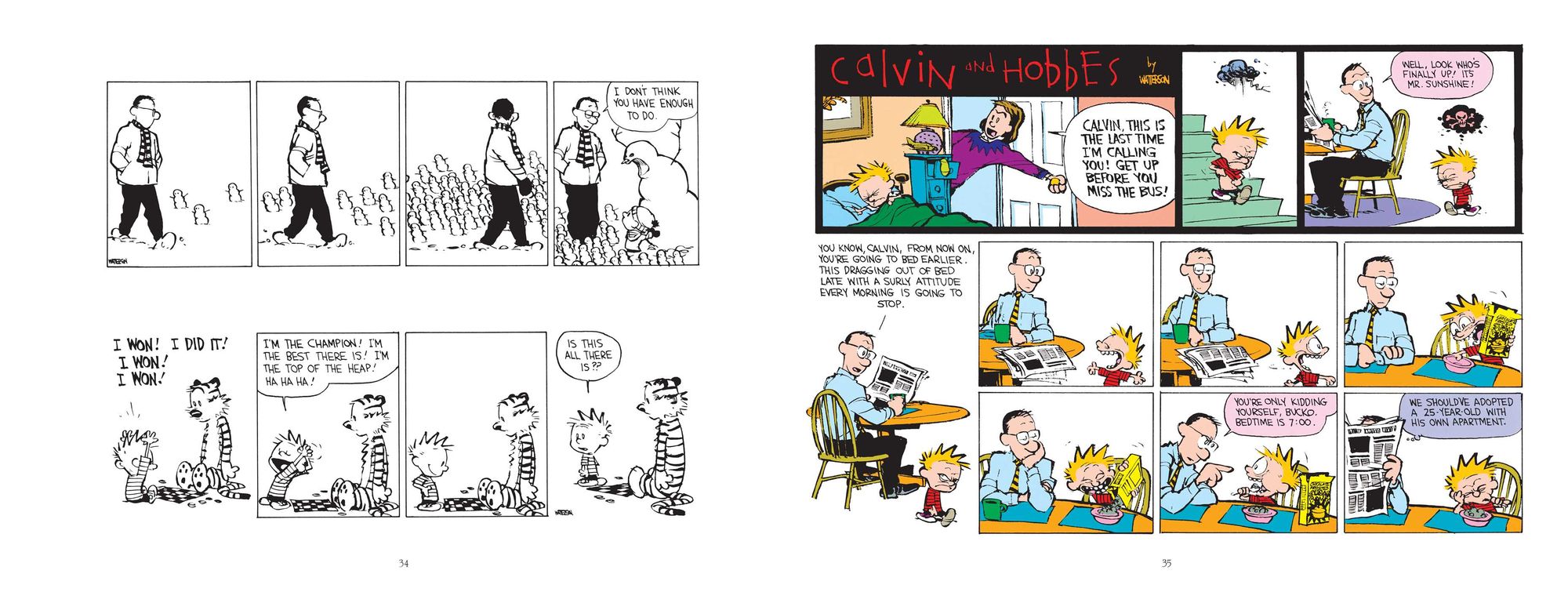 The Days Are Just Packed: A Calvin and Hobbes Collection