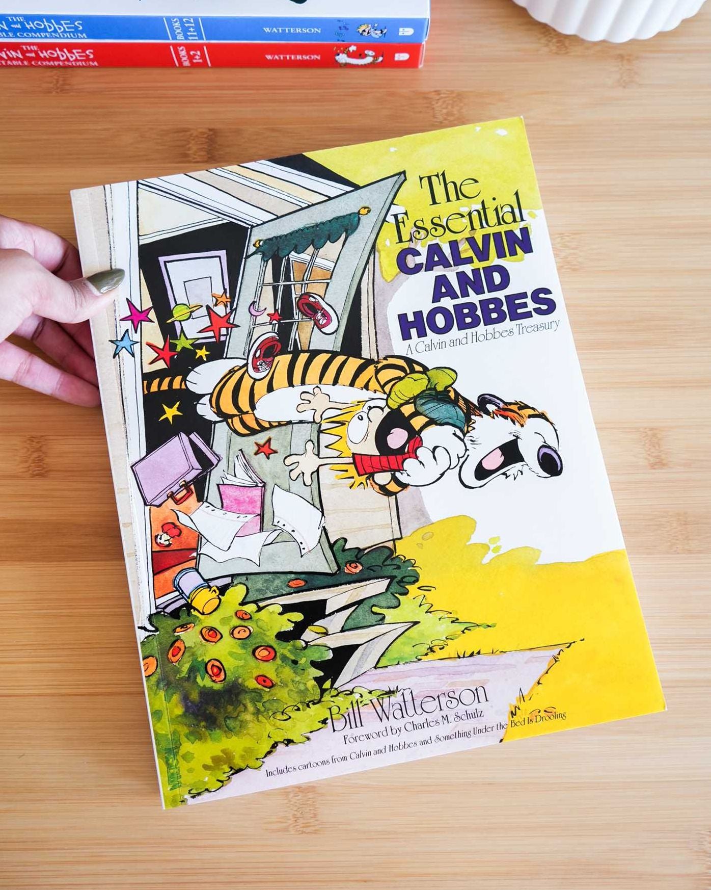The Essential Calvin and Hobbes: A Calvin and Hobbes Treasury
