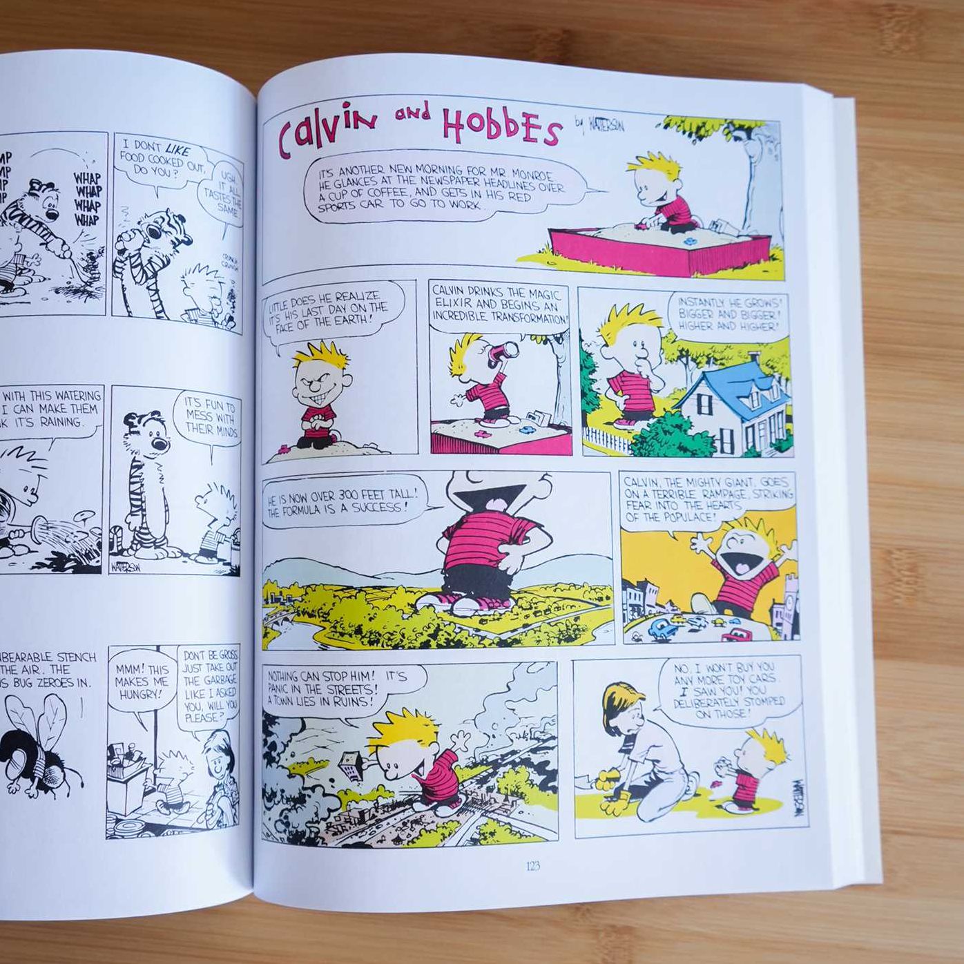 The Essential Calvin and Hobbes: A Calvin and Hobbes Treasury