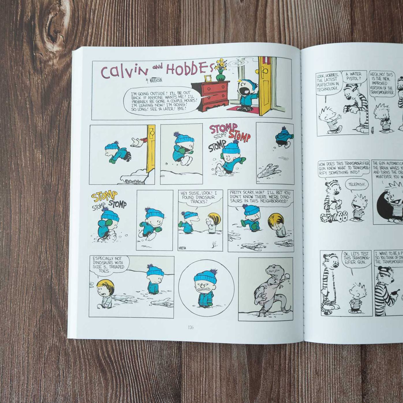 The Authoritative Calvin and Hobbes: A Calvin and Hobbes Treasury