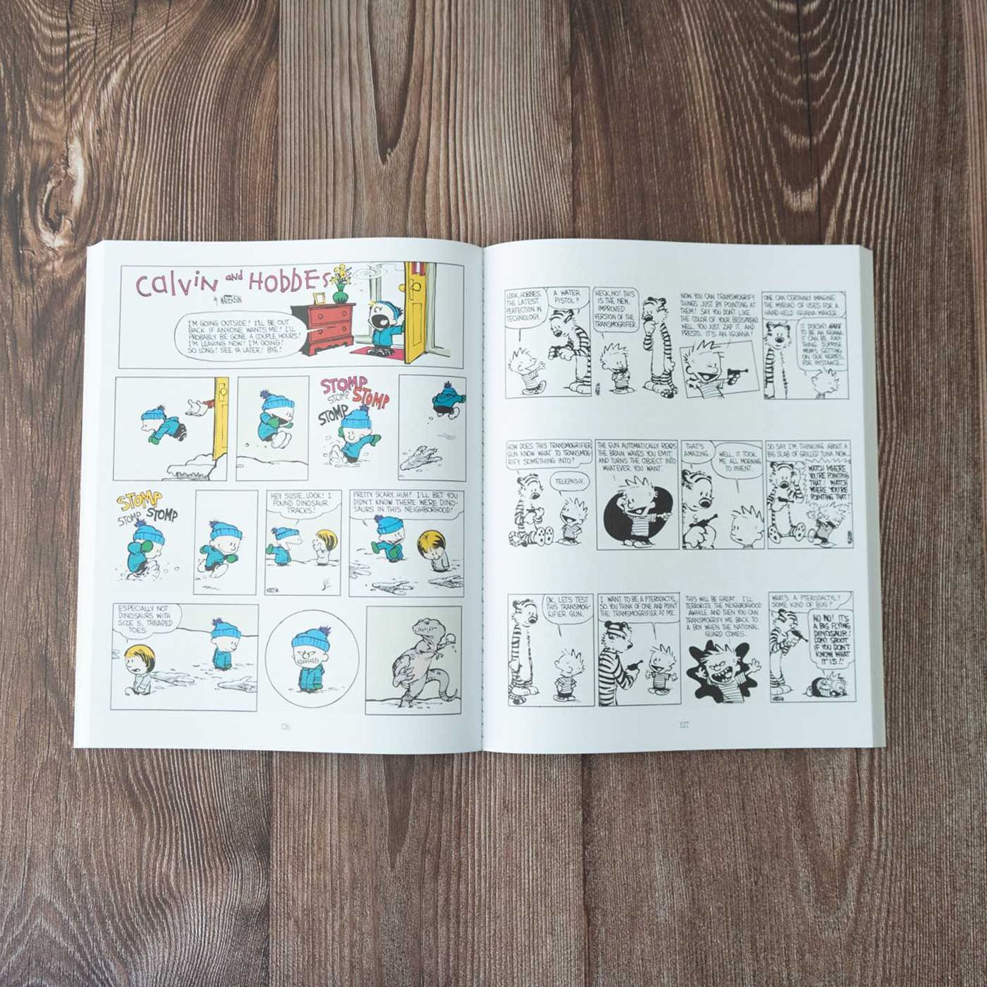 The Authoritative Calvin and Hobbes: A Calvin and Hobbes Treasury