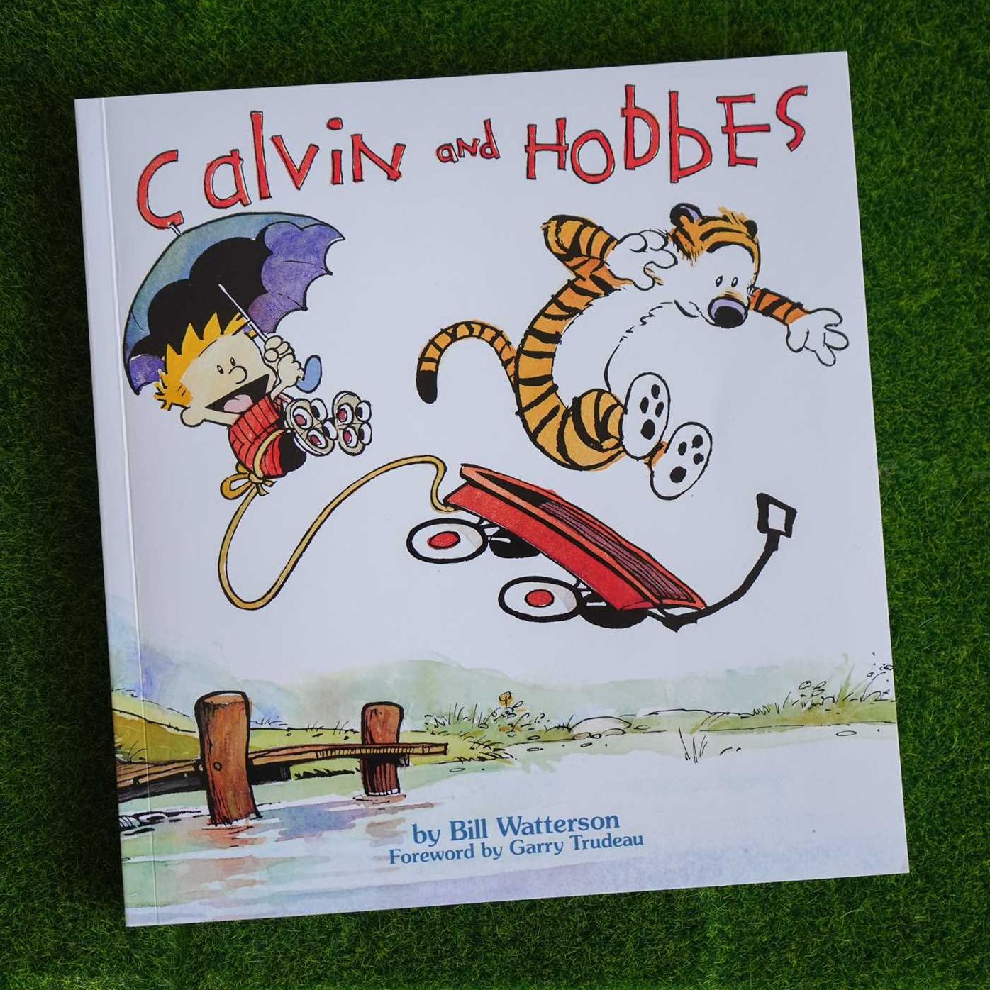 Calvin and Hobbes