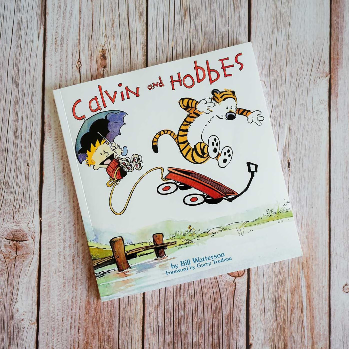 Calvin and Hobbes