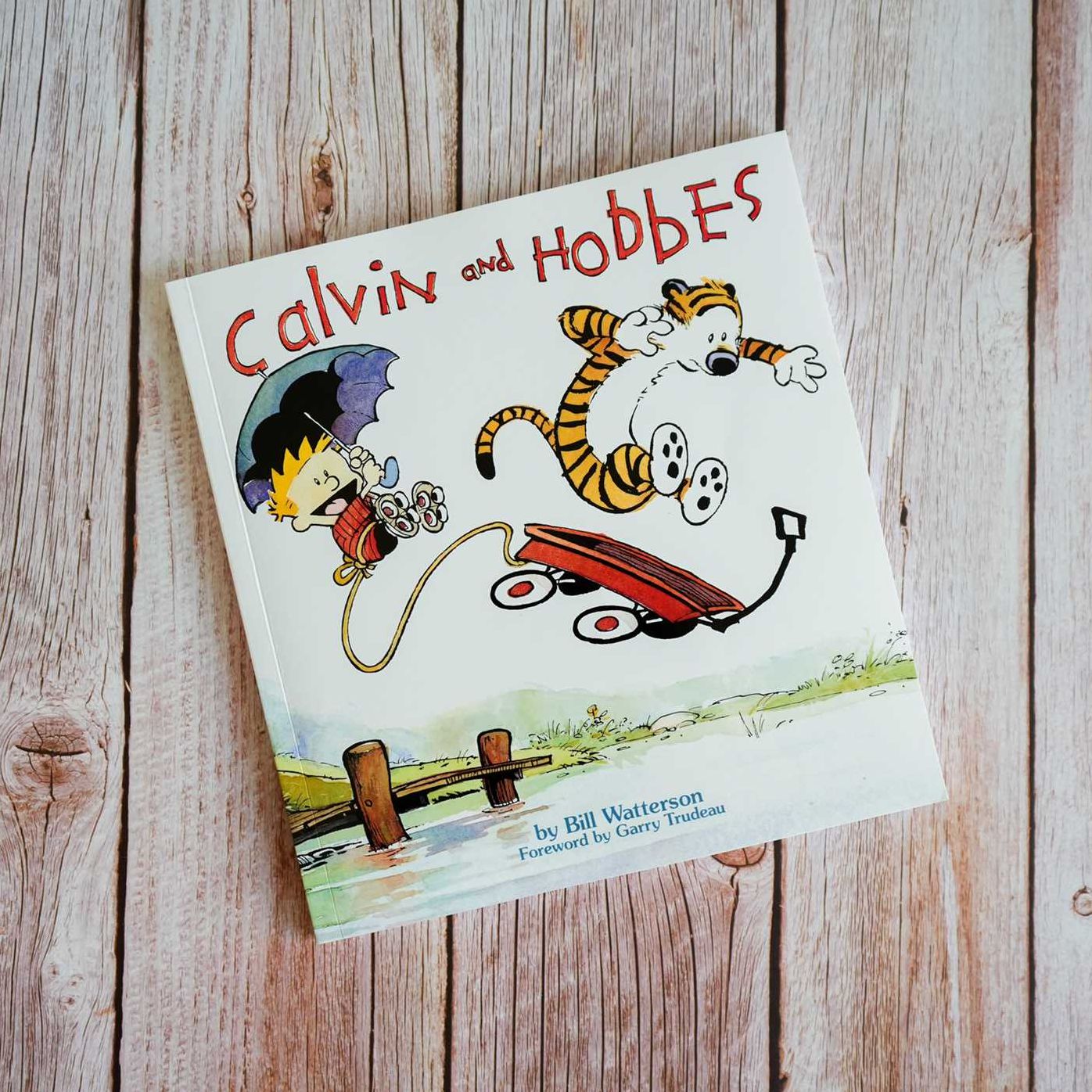 Calvin and Hobbes