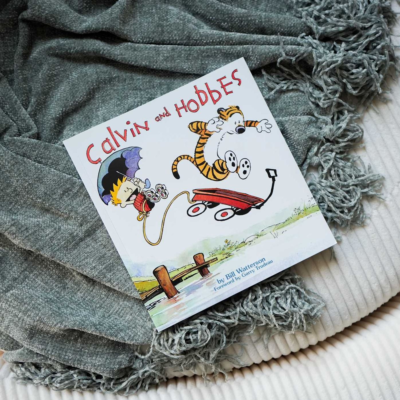 Calvin and Hobbes
