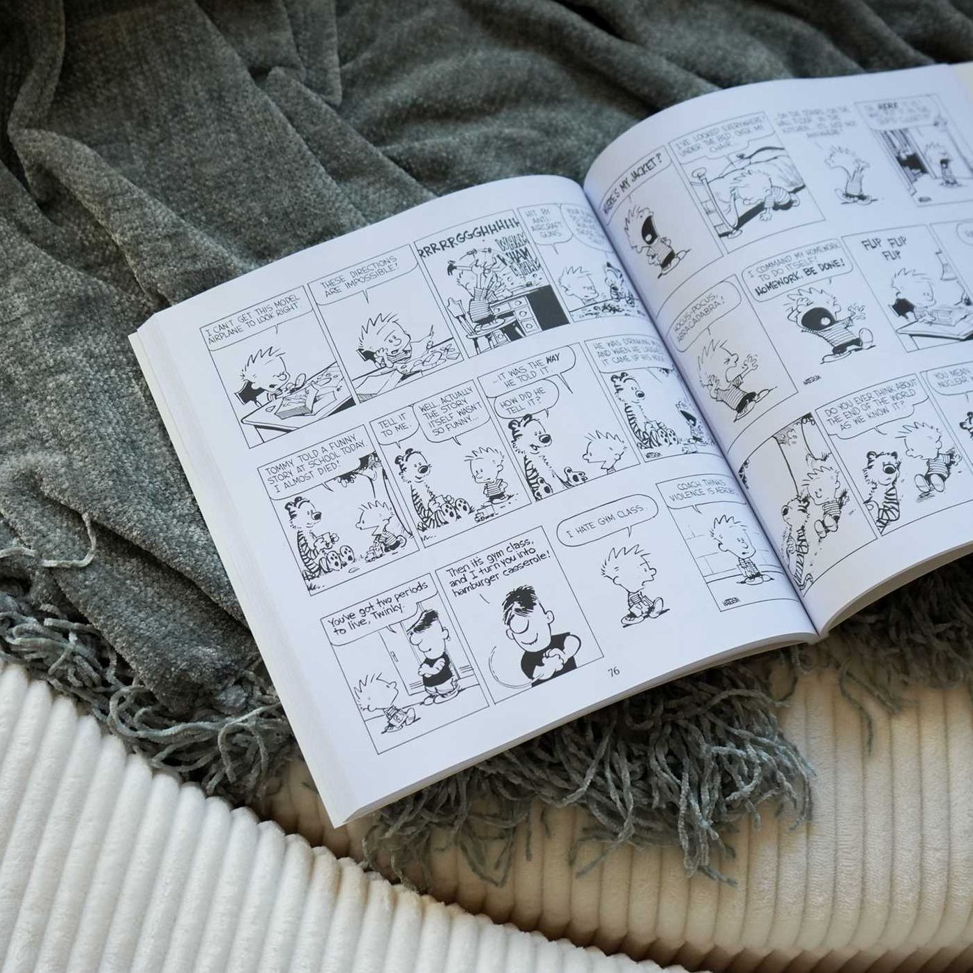 Calvin and Hobbes