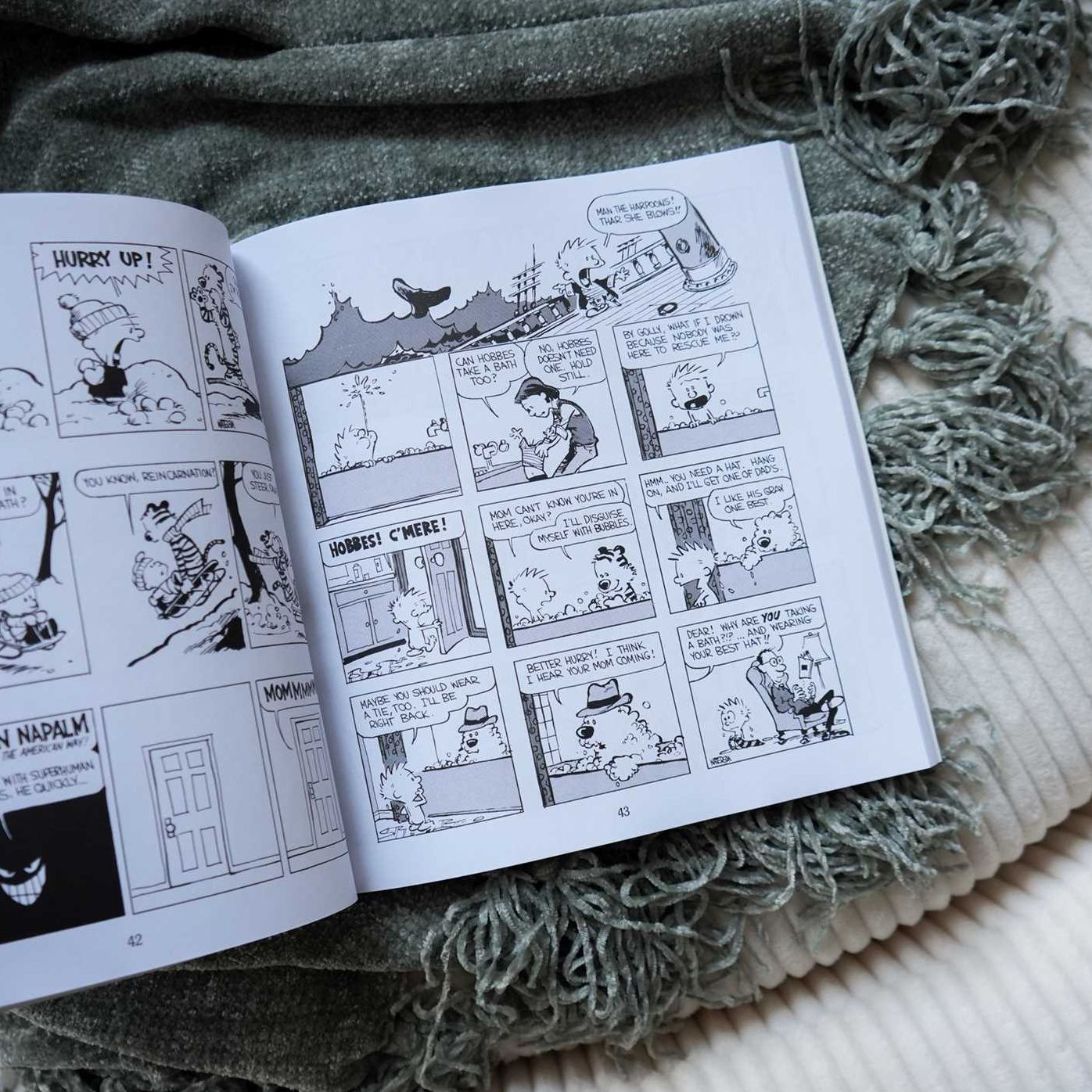 Calvin and Hobbes