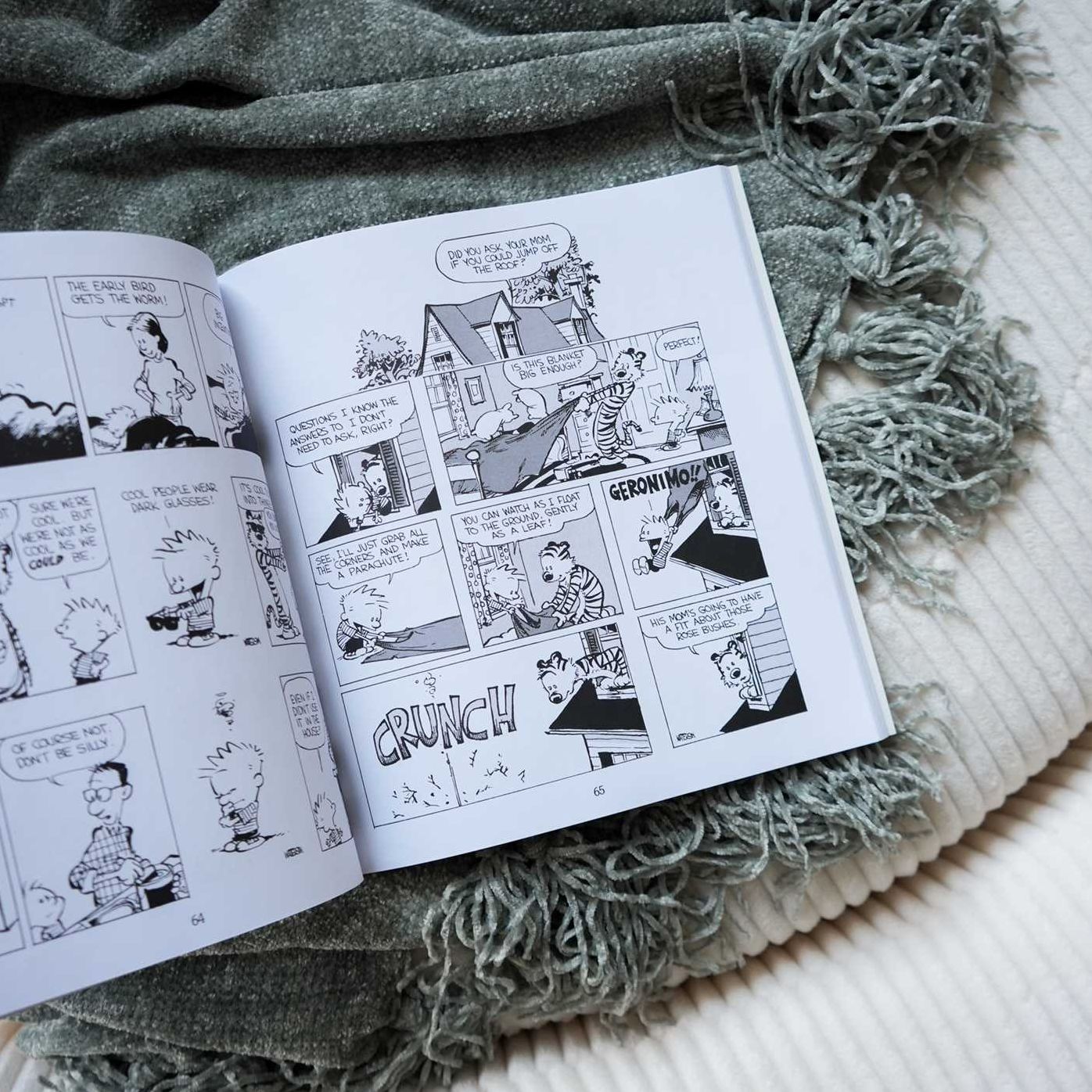 Calvin and Hobbes
