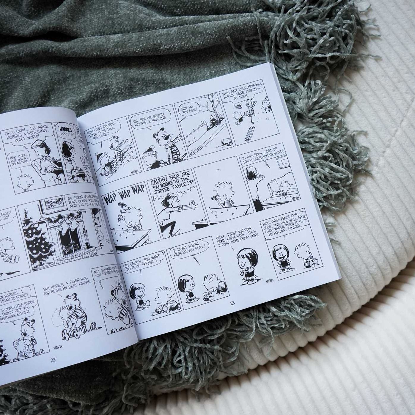 Calvin and Hobbes