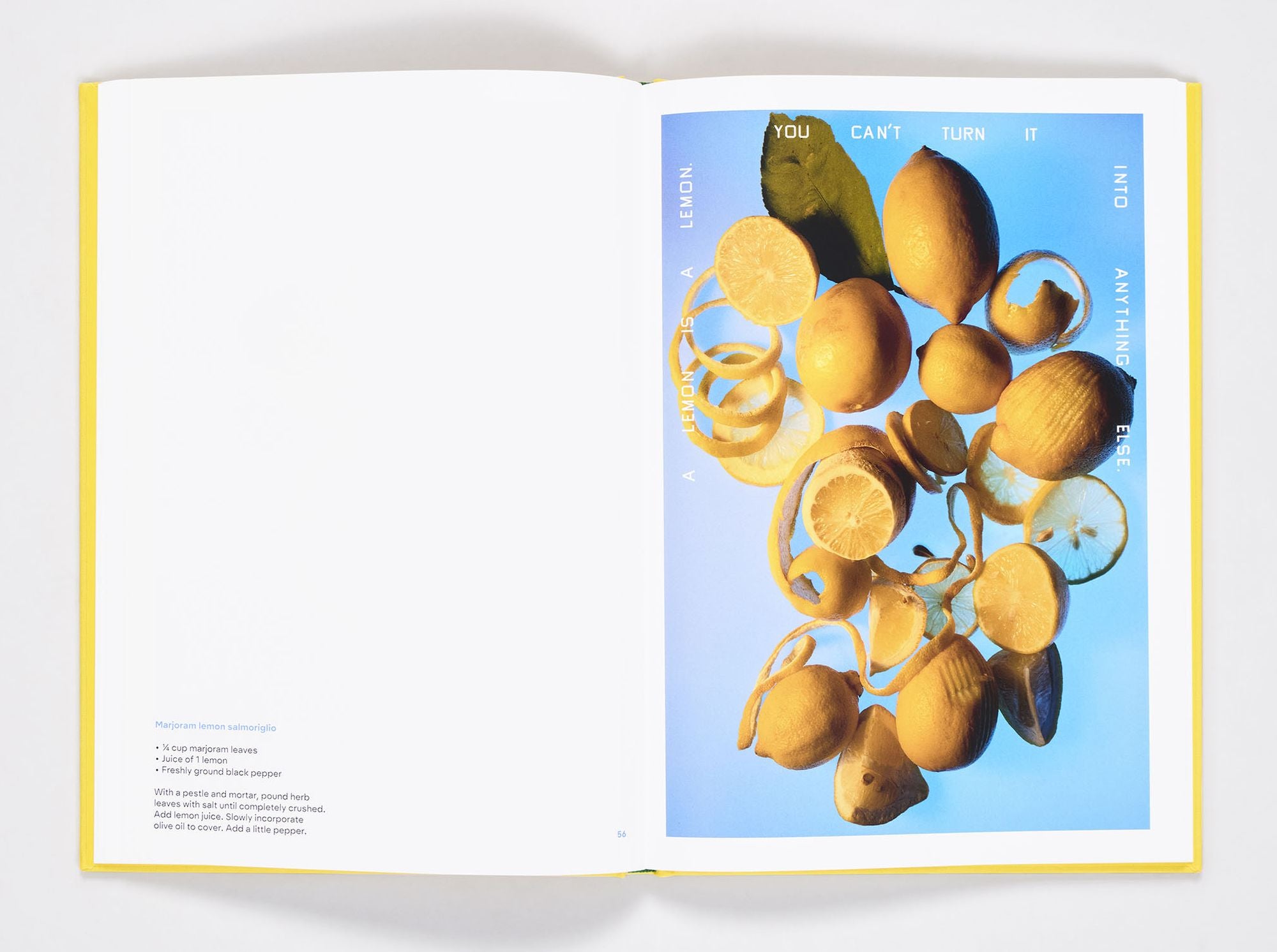 Squeeze Me: Lemon Recipes & Art