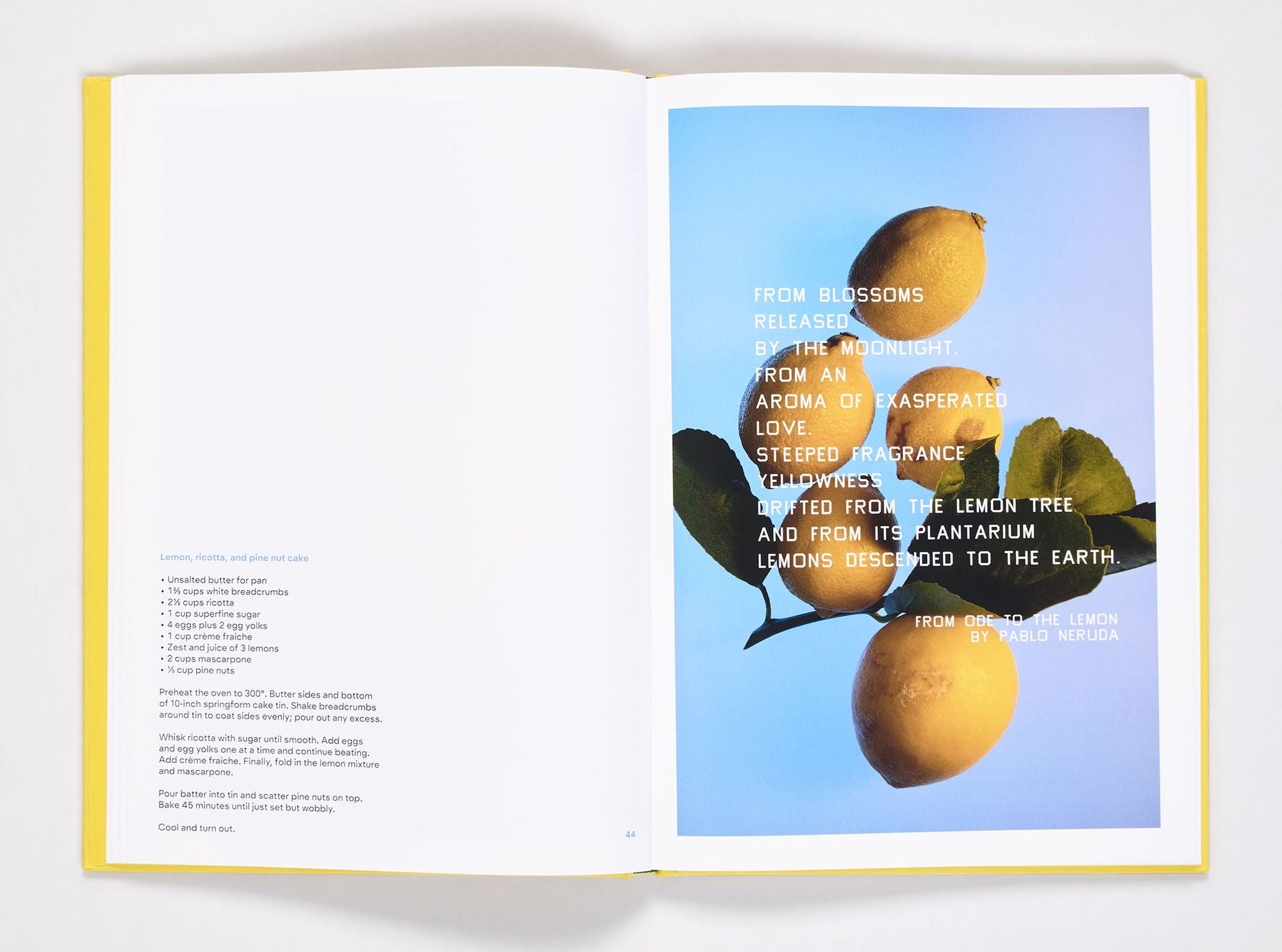 Squeeze Me: Lemon Recipes & Art