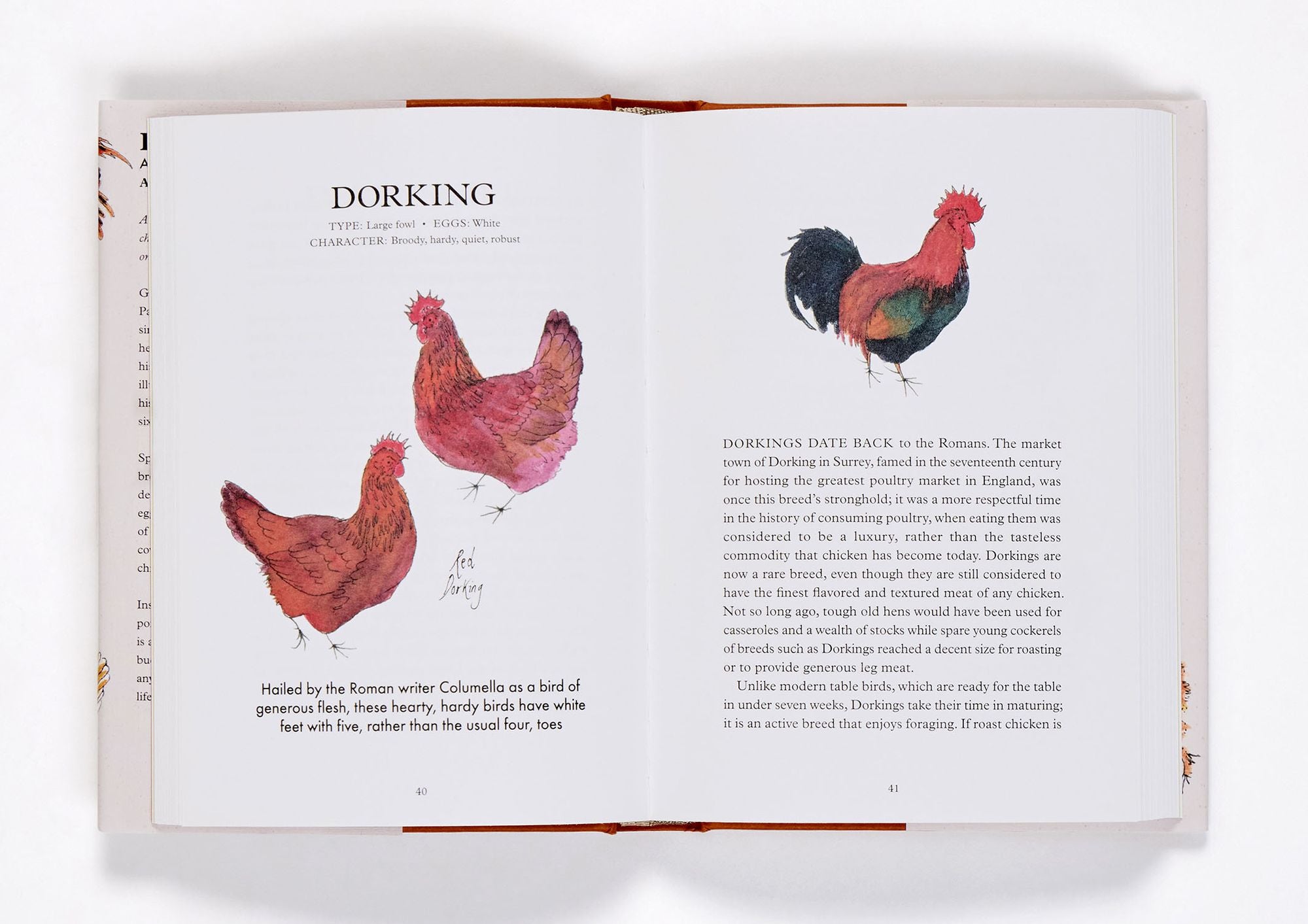 Hen Party: A Celebration of Fancy Fowl