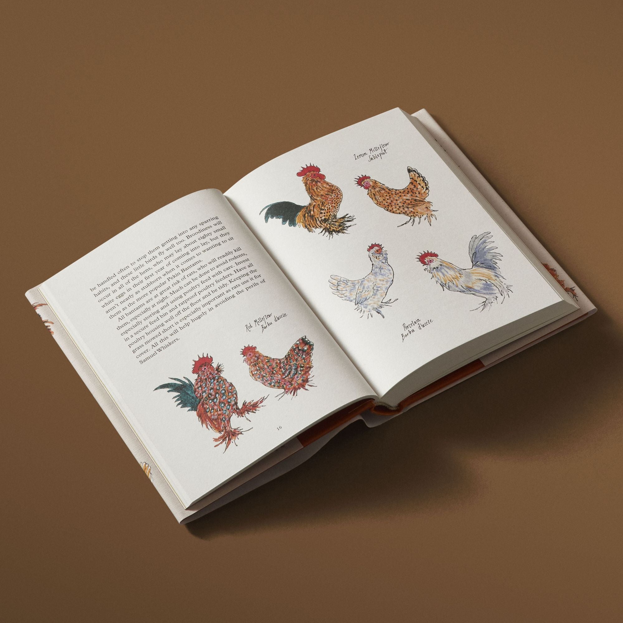 Hen Party: A Celebration of Fancy Fowl