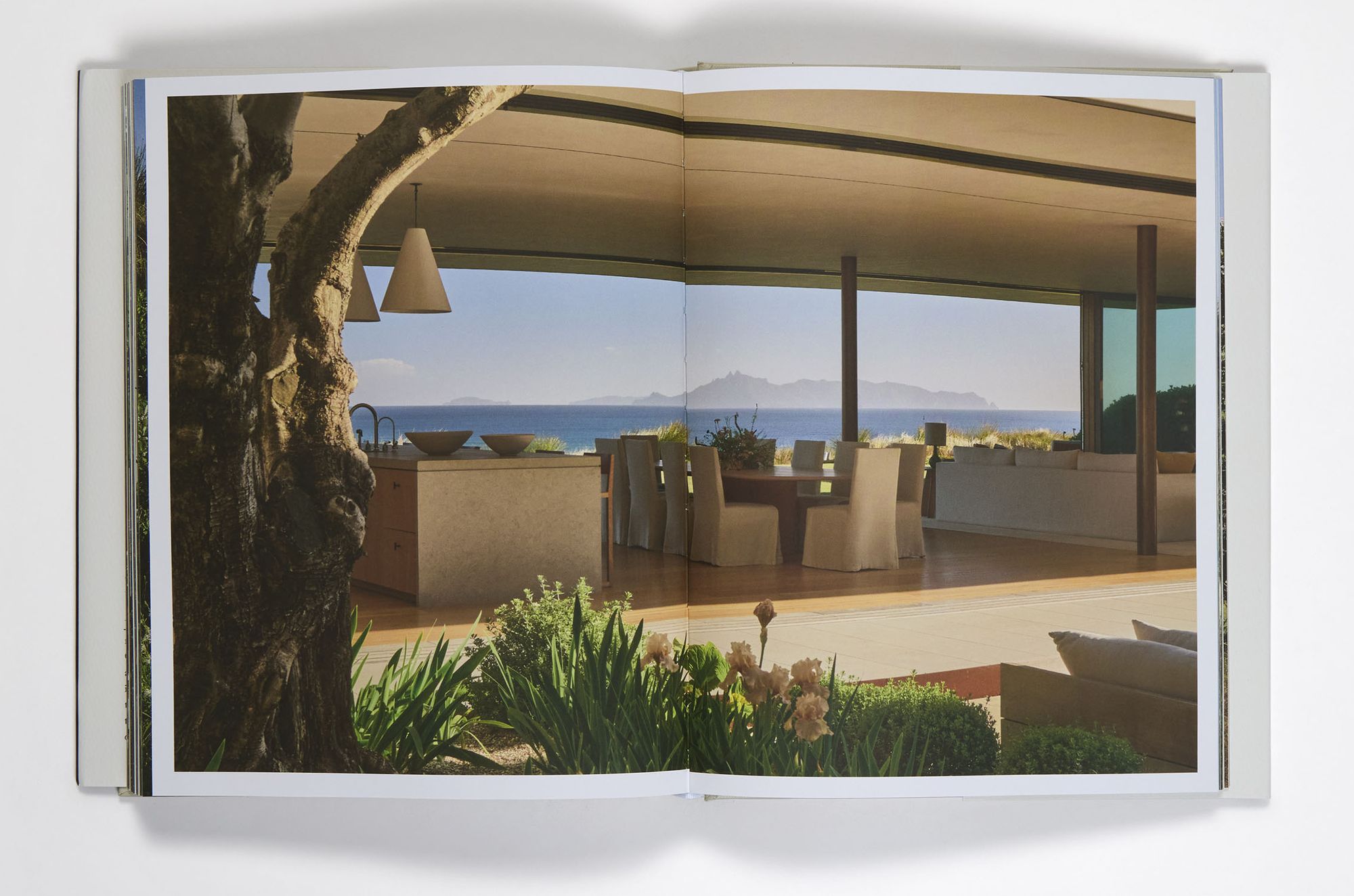 Pacific Natural Everywhere