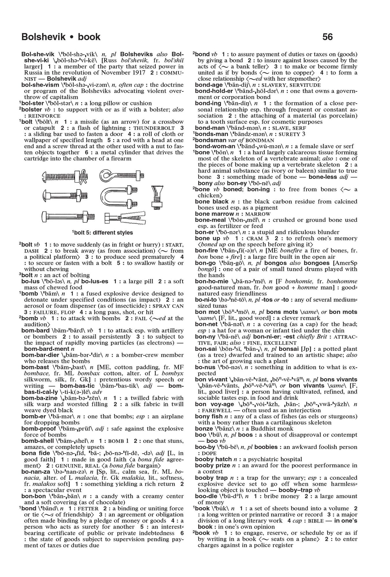 The Merriam-Webster Dictionary