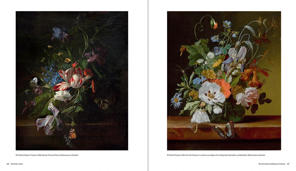 Rachel Ruysch: Nature into Art