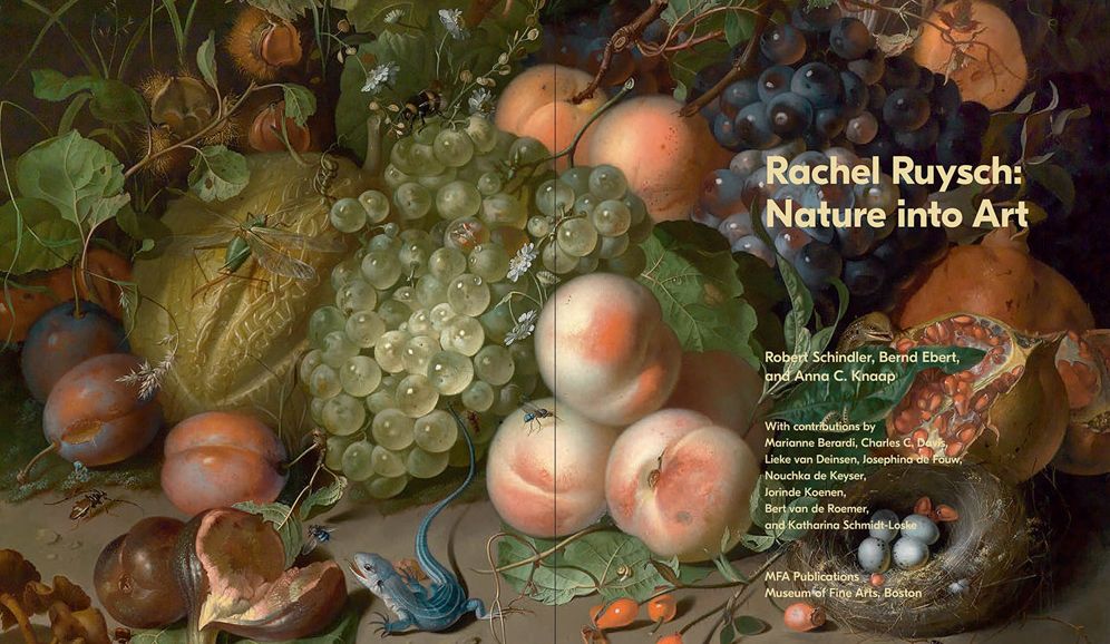 Rachel Ruysch: Nature into Art