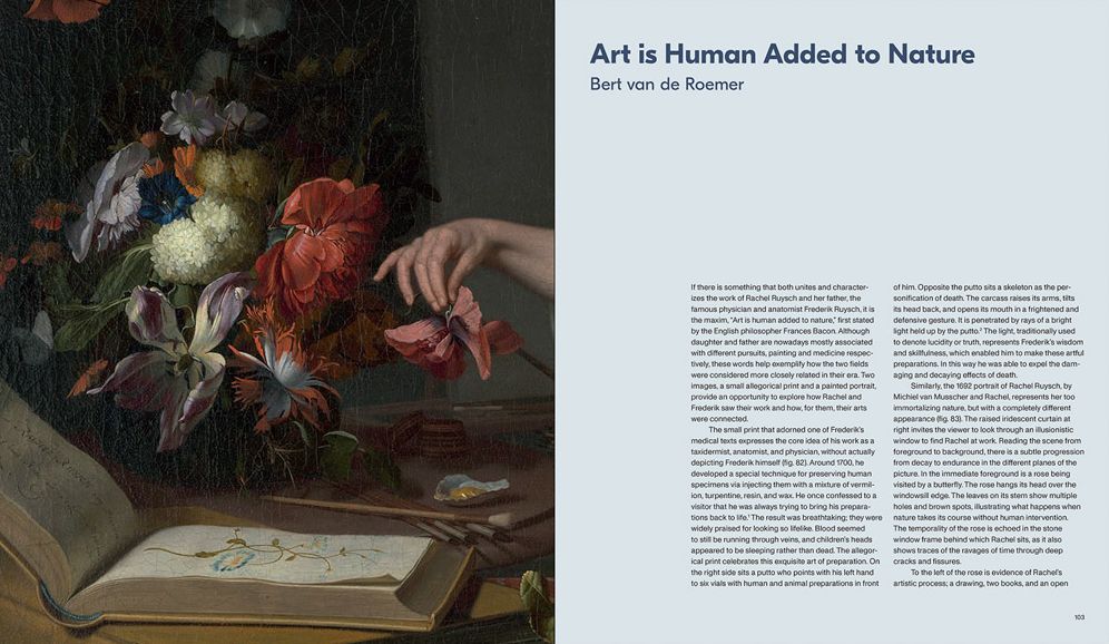 Rachel Ruysch: Nature into Art