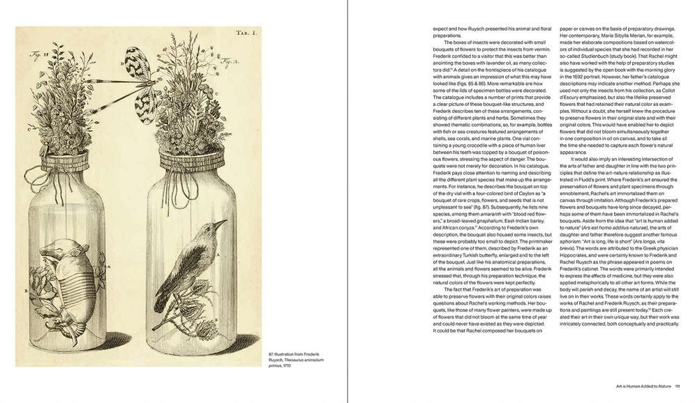 Rachel Ruysch: Nature into Art