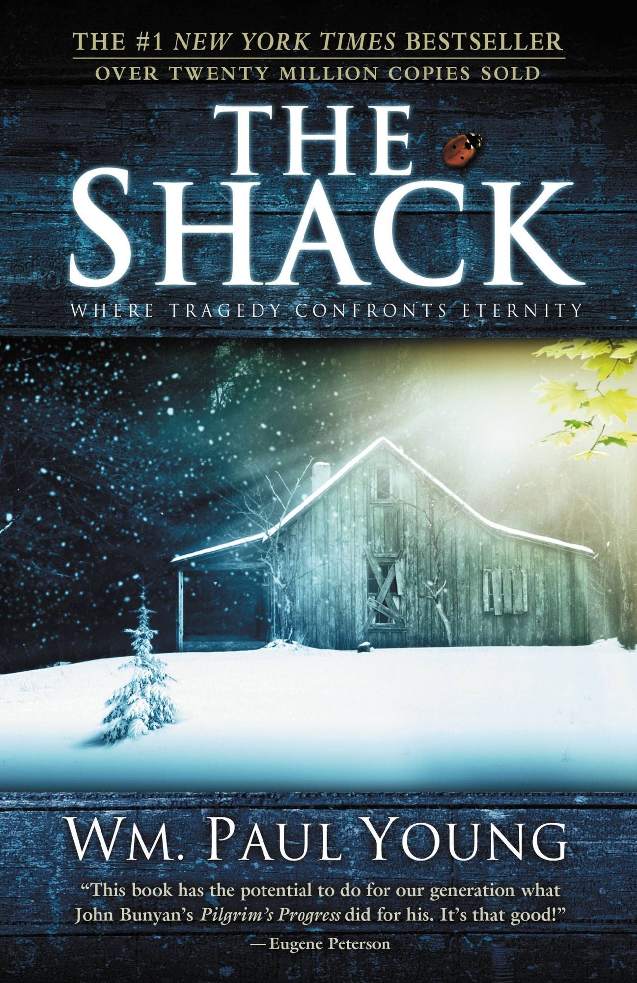 The Shack: Where Tragedy Confronts Eternity